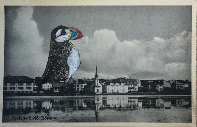 Send me a postcard - Lundira, the giant Icelandic tourist puffin 