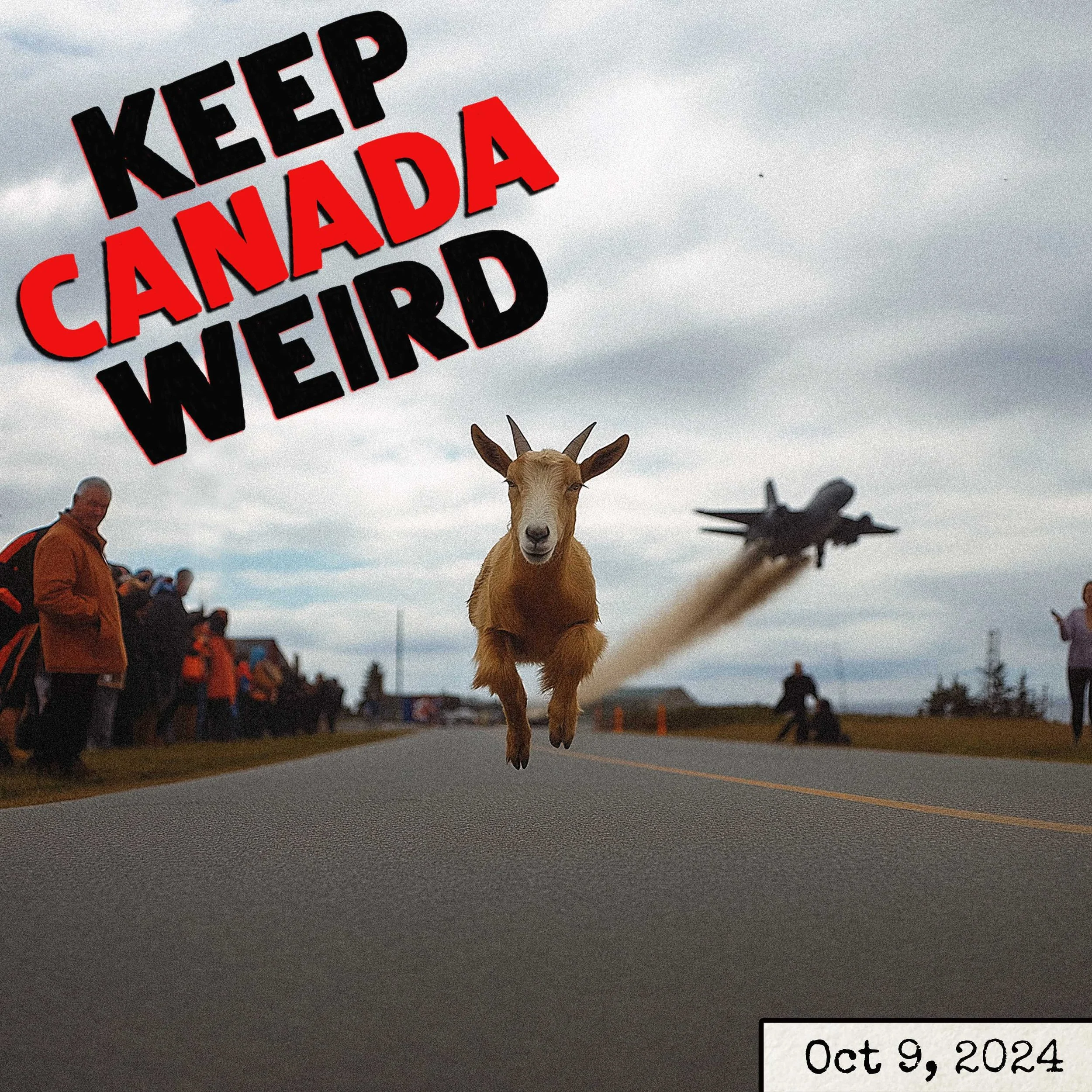 KEEP CANADA WEIRD - Oct 9 2024 - Joshua the goat, Taylor Swift tickets for the lost dog, Chemtrails, and Robins Donuts