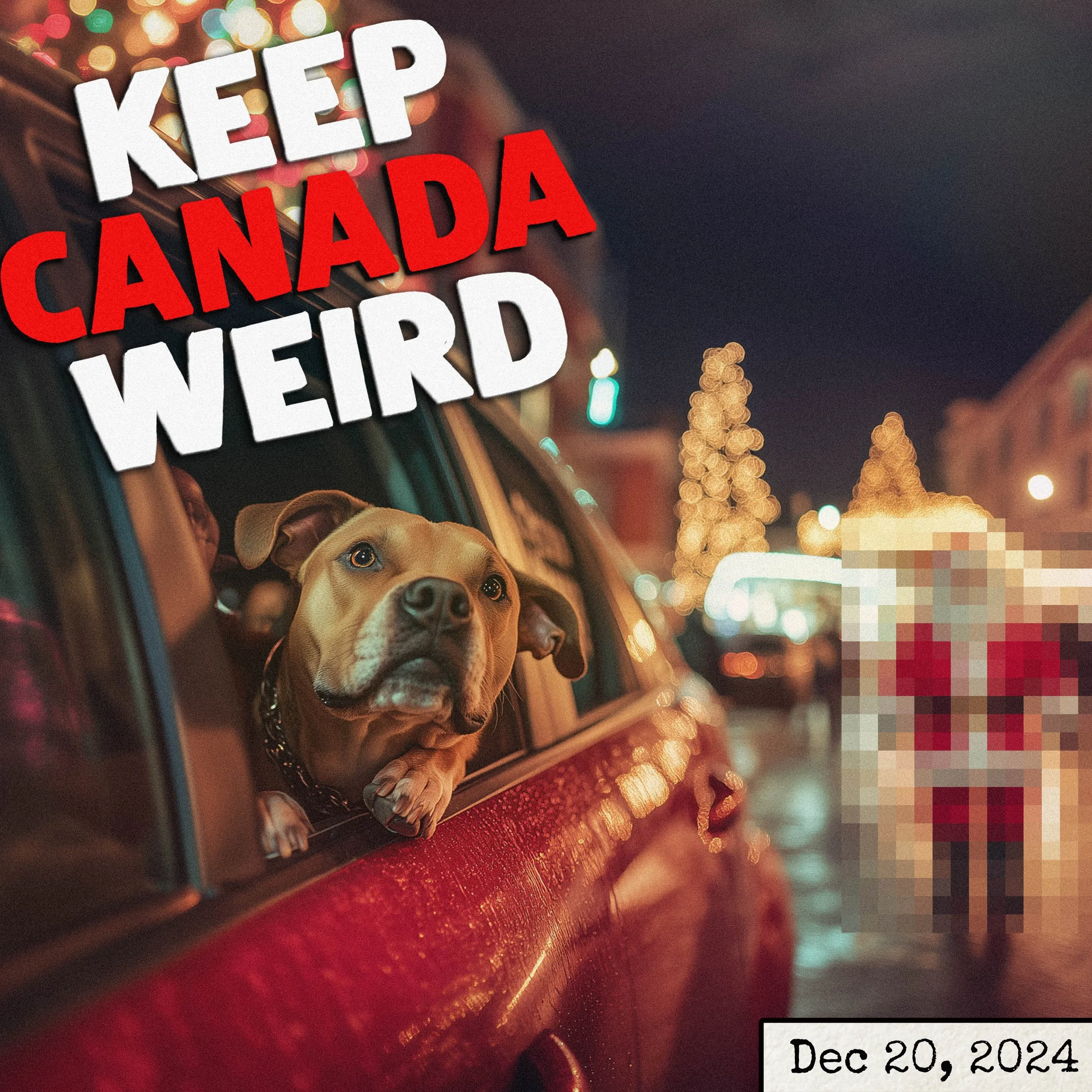 KEEP CANADA WEIRD - Dec 20, 2024 - an impatient dog, Canadians behaving badly, the Excel champ, Christmas
