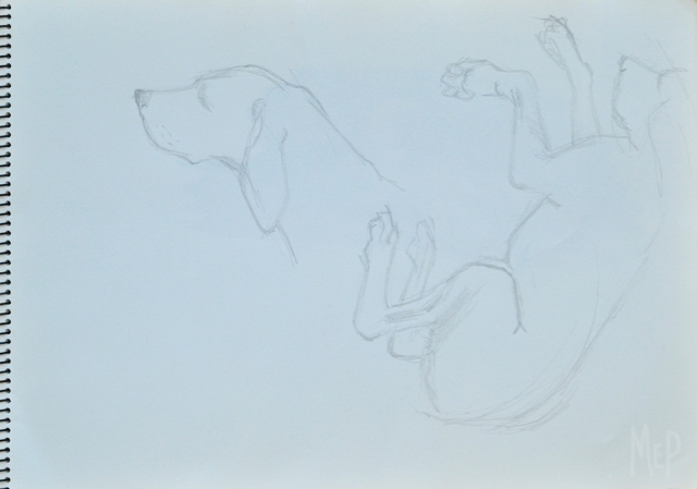 S115. Pencil. 35x25cm