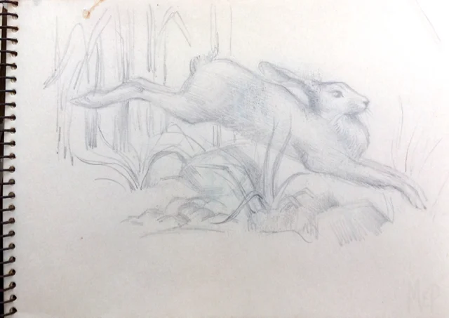 S74. Pencil. 17x12.5cm