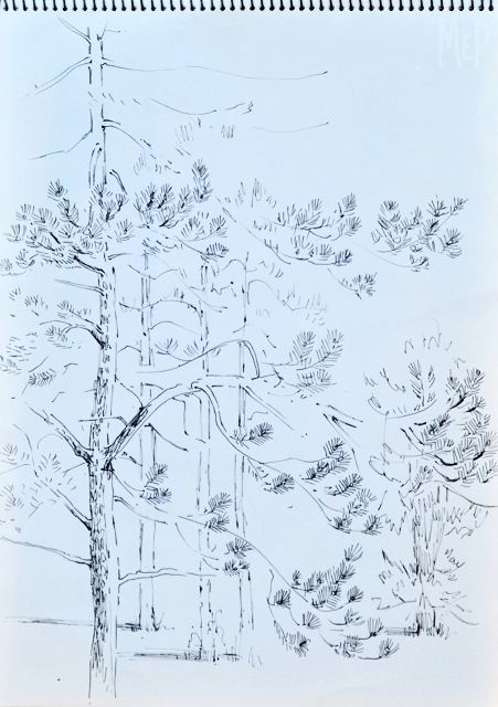S118. Pen. 25x35cm