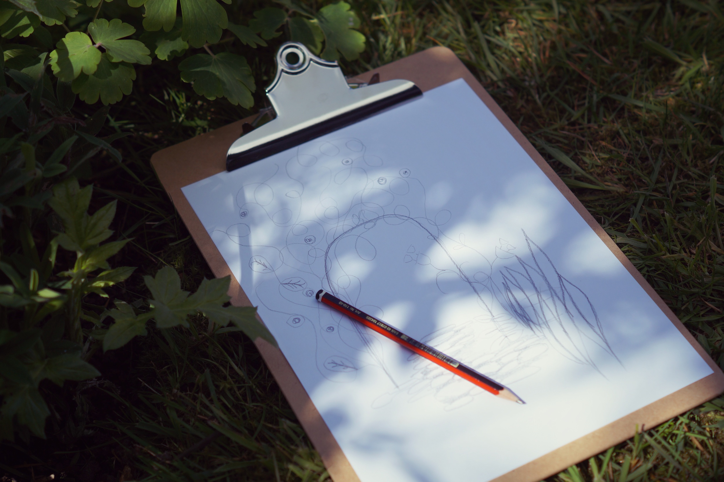 sketching in the garden.jpg