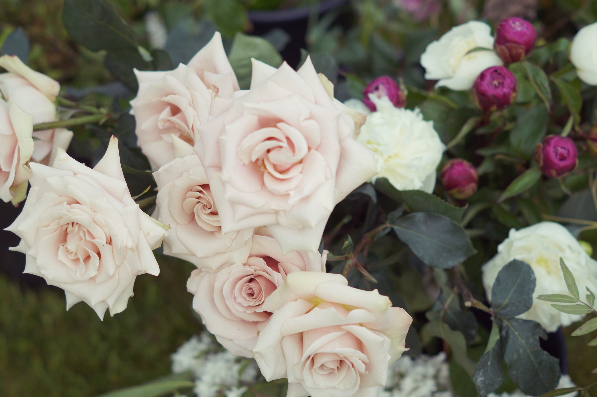 Behind the Scenes: Styled Wedding Shoot