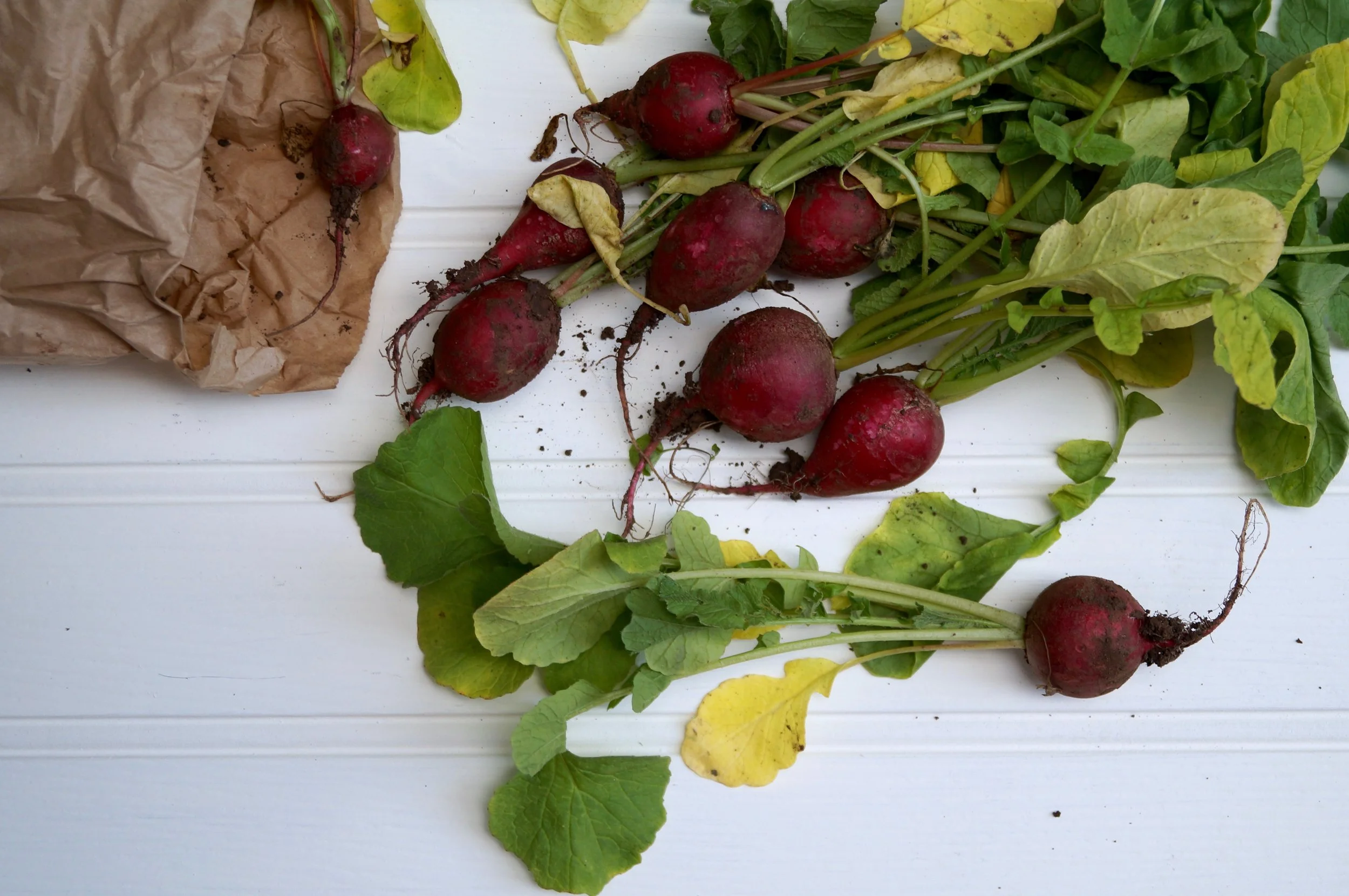 Recipe: Beetroot and feta rosti