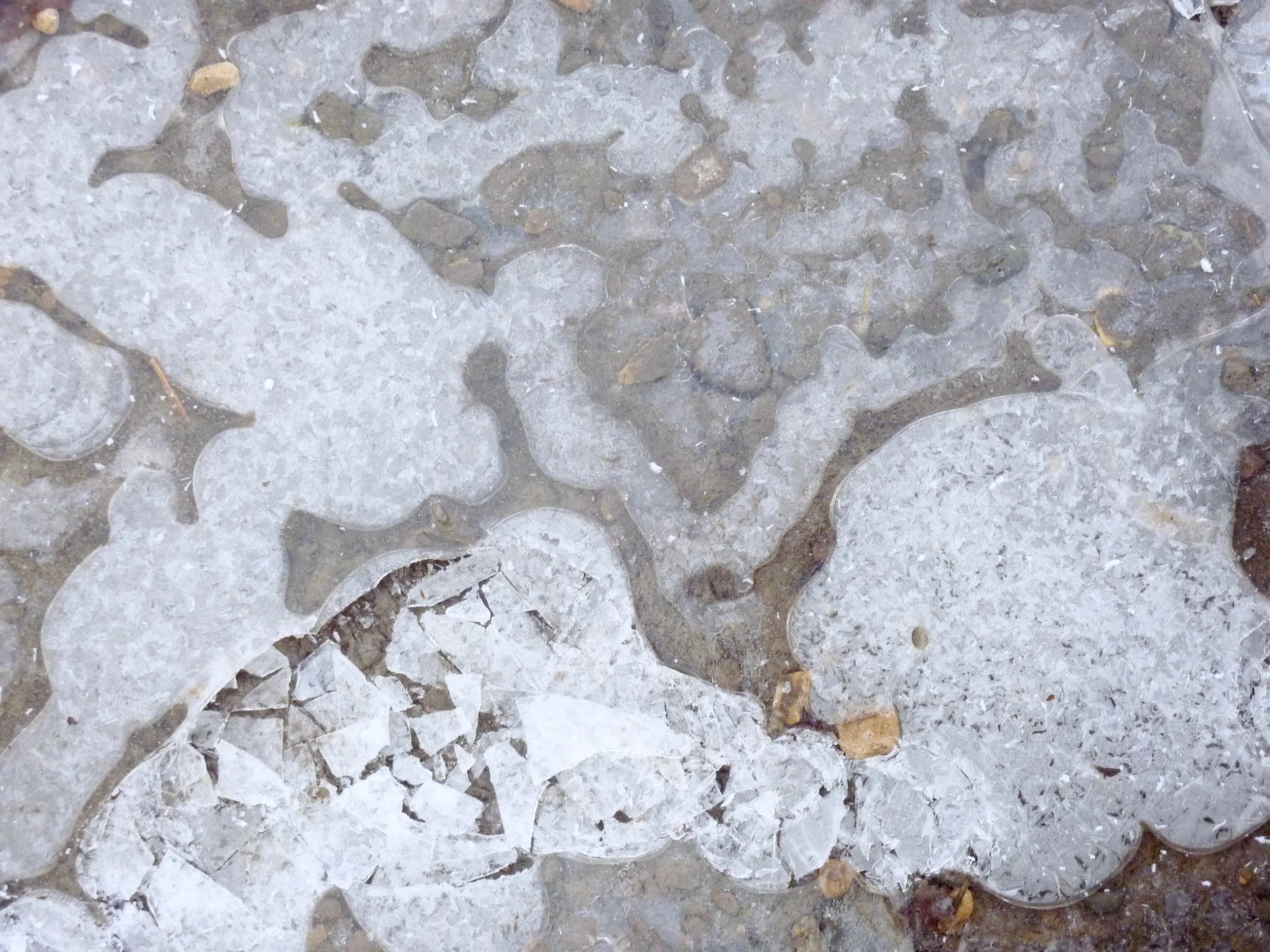 Create: Stories of a winter walk