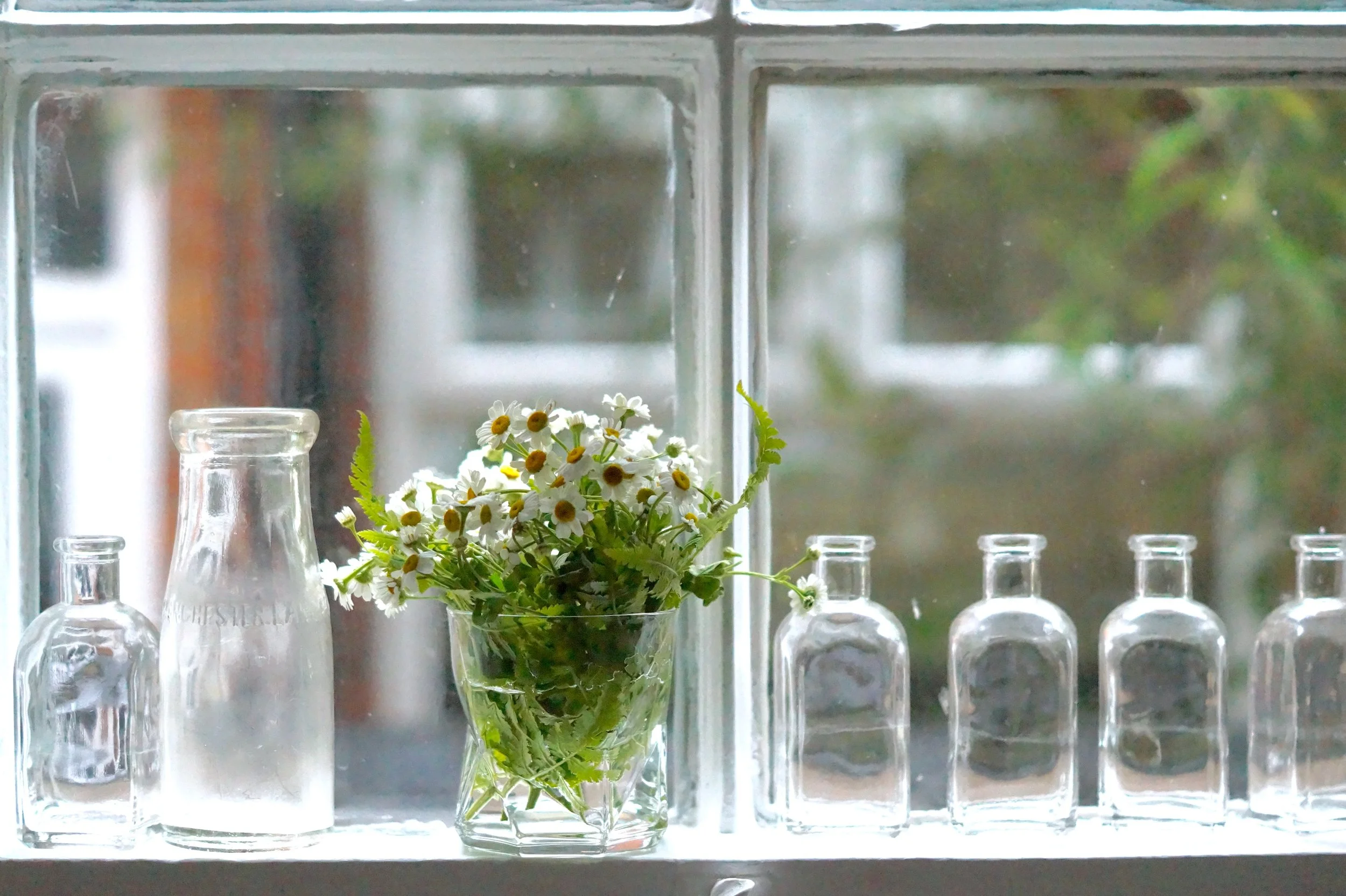 Looking forward: June