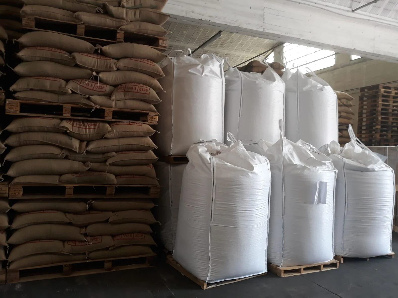 Big bags parodi.jpeg