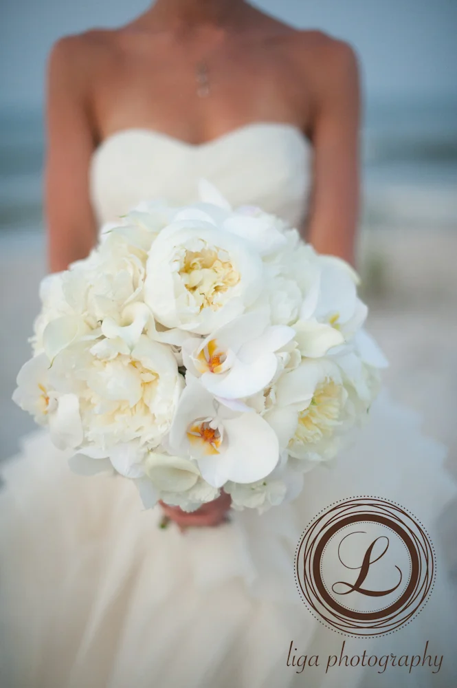 Jacksonville Wedding Flowers Premier Custom Floral Designers