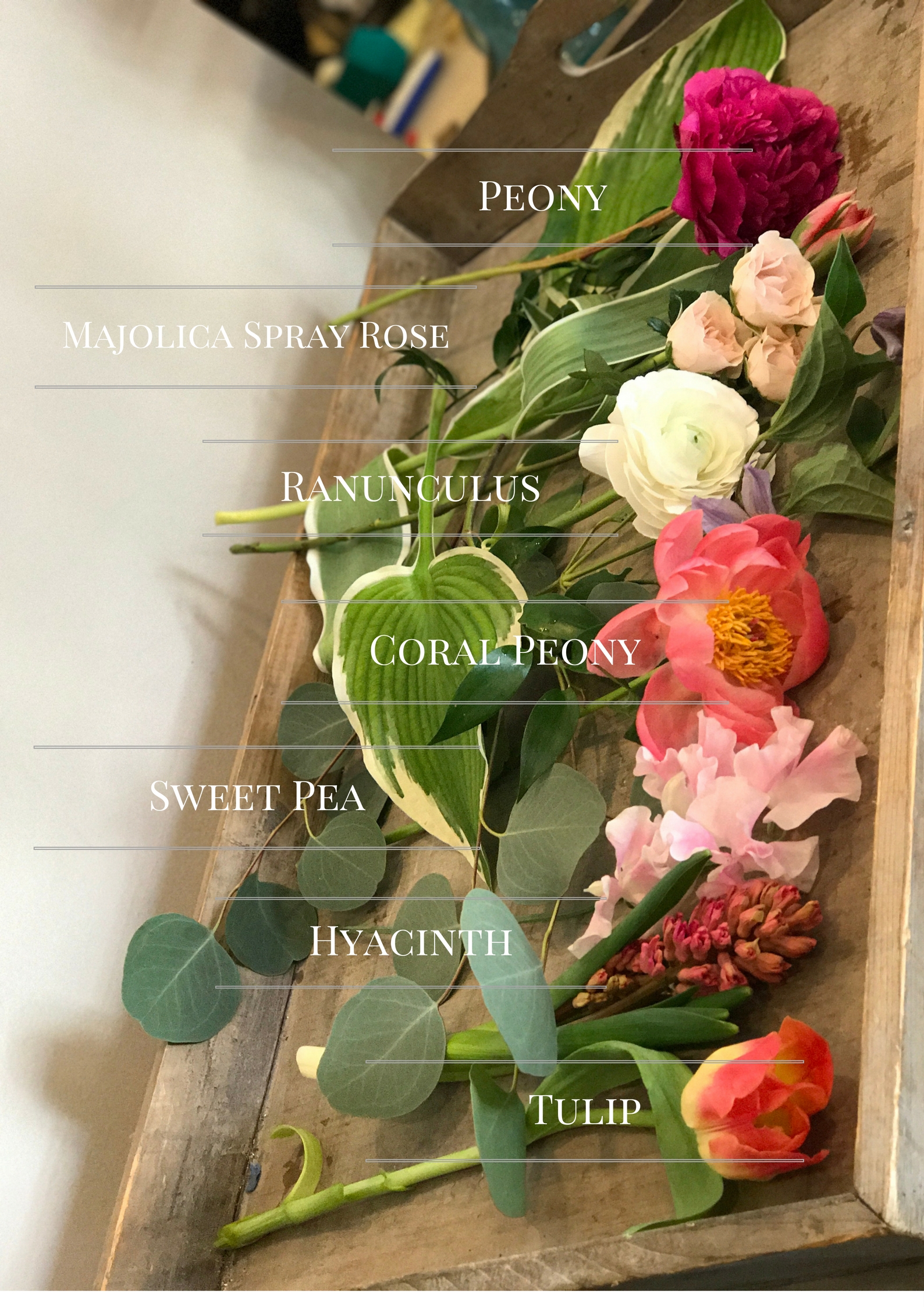 1/4 Clear Floral Tape - Jacksonville Flower Market