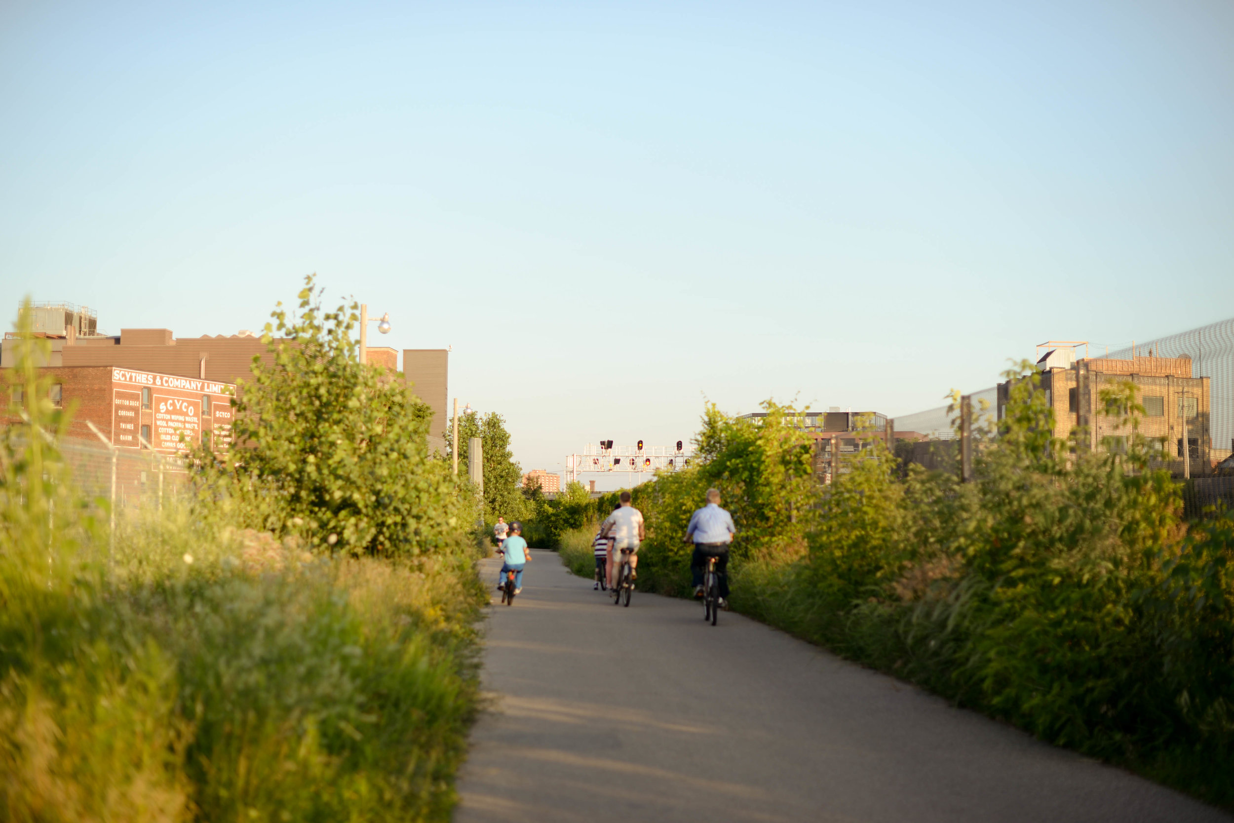 RP Plant Walk-by Pauline Nguyen 6385.jpg