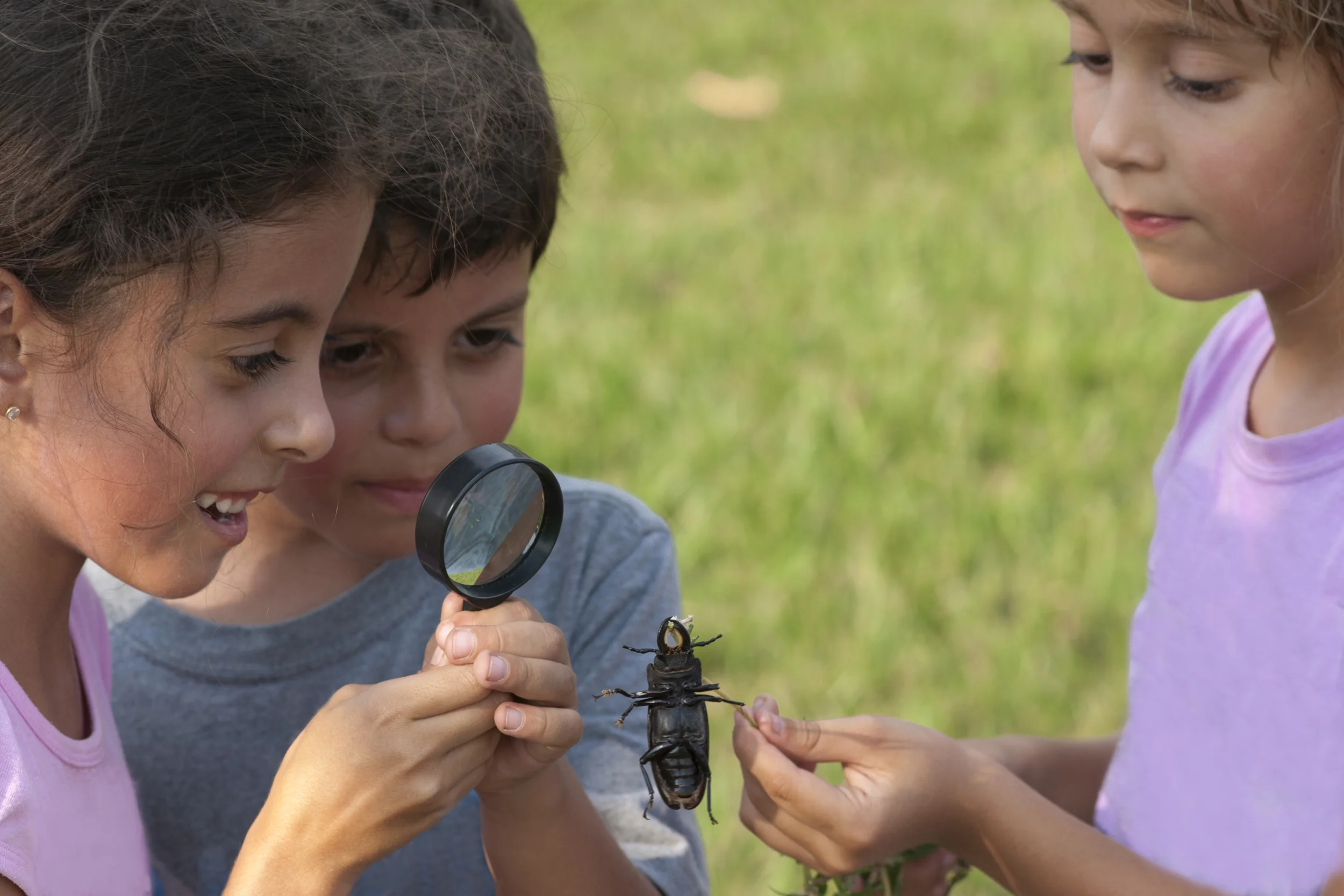 kids-with-bugs.jpg