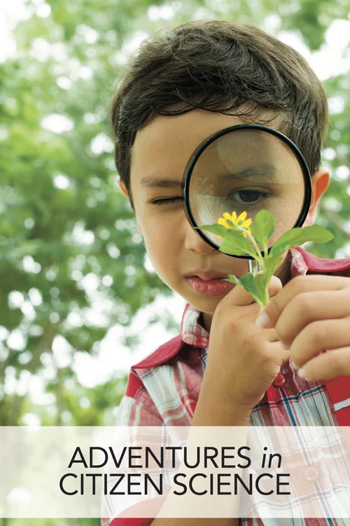 Citizen Science Project 8 Bugs In Our Backyard Home School