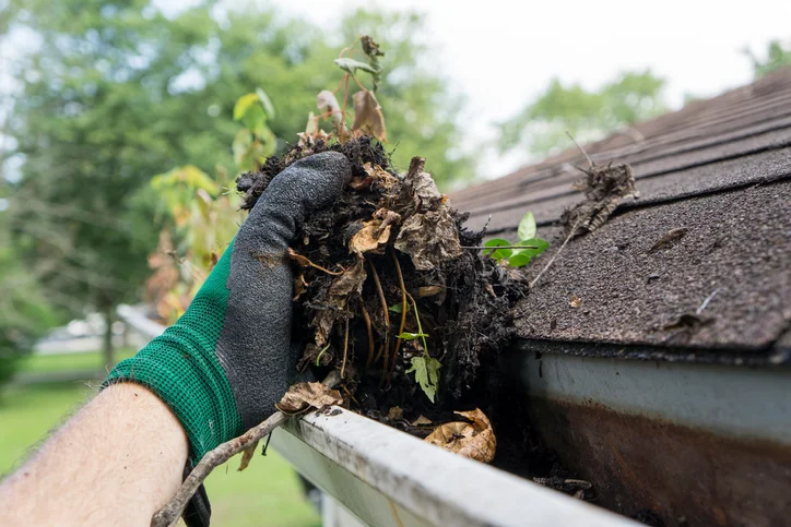 09.13 2017 - Cleaning Gutters - Fall.jpg