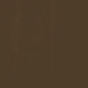 Brown Painted Siding & Trim