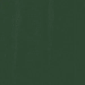Dark Green Painted Siding & Trim
