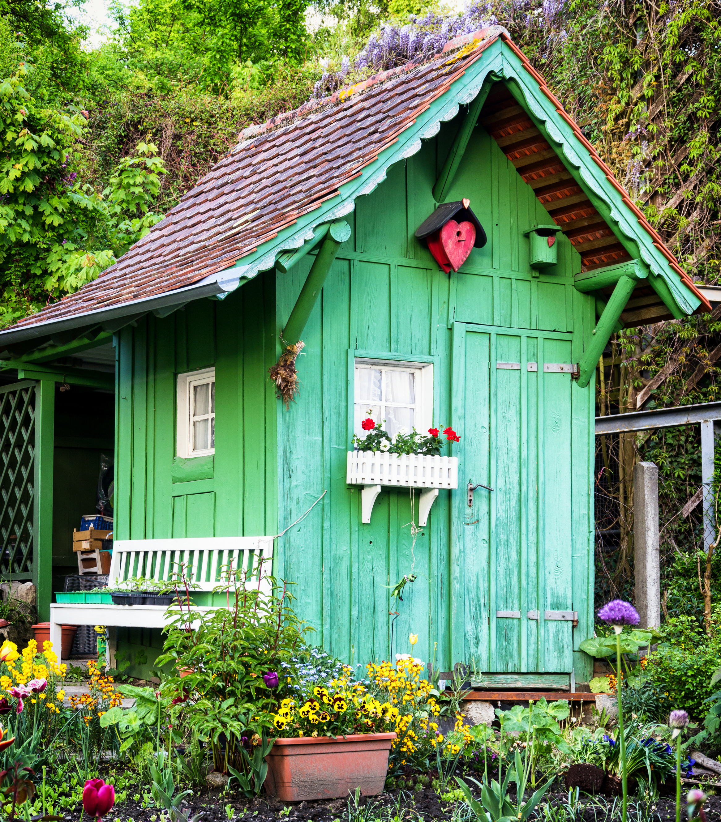 She Shed (Cumberland Buildings)