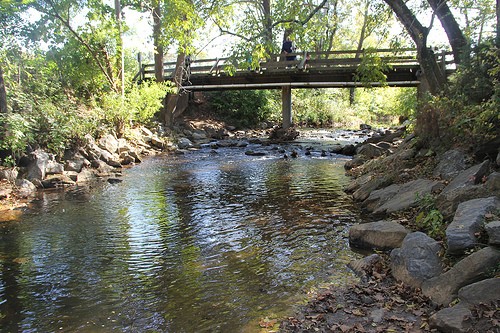  A creek at Peaks View Park