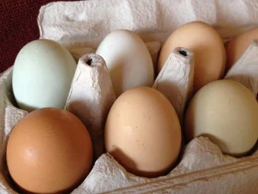 eggs.jpg