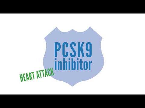 Patient Access to PCSK9 Inhibitors