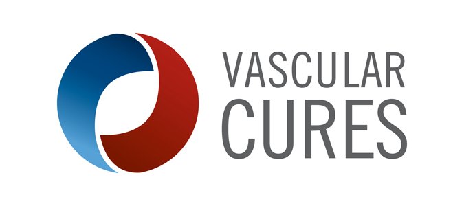 VC-logo-color-large.jpg