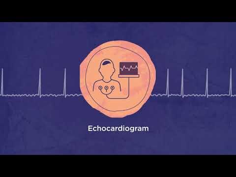 Hypertrophic Cardiomyopathy 101