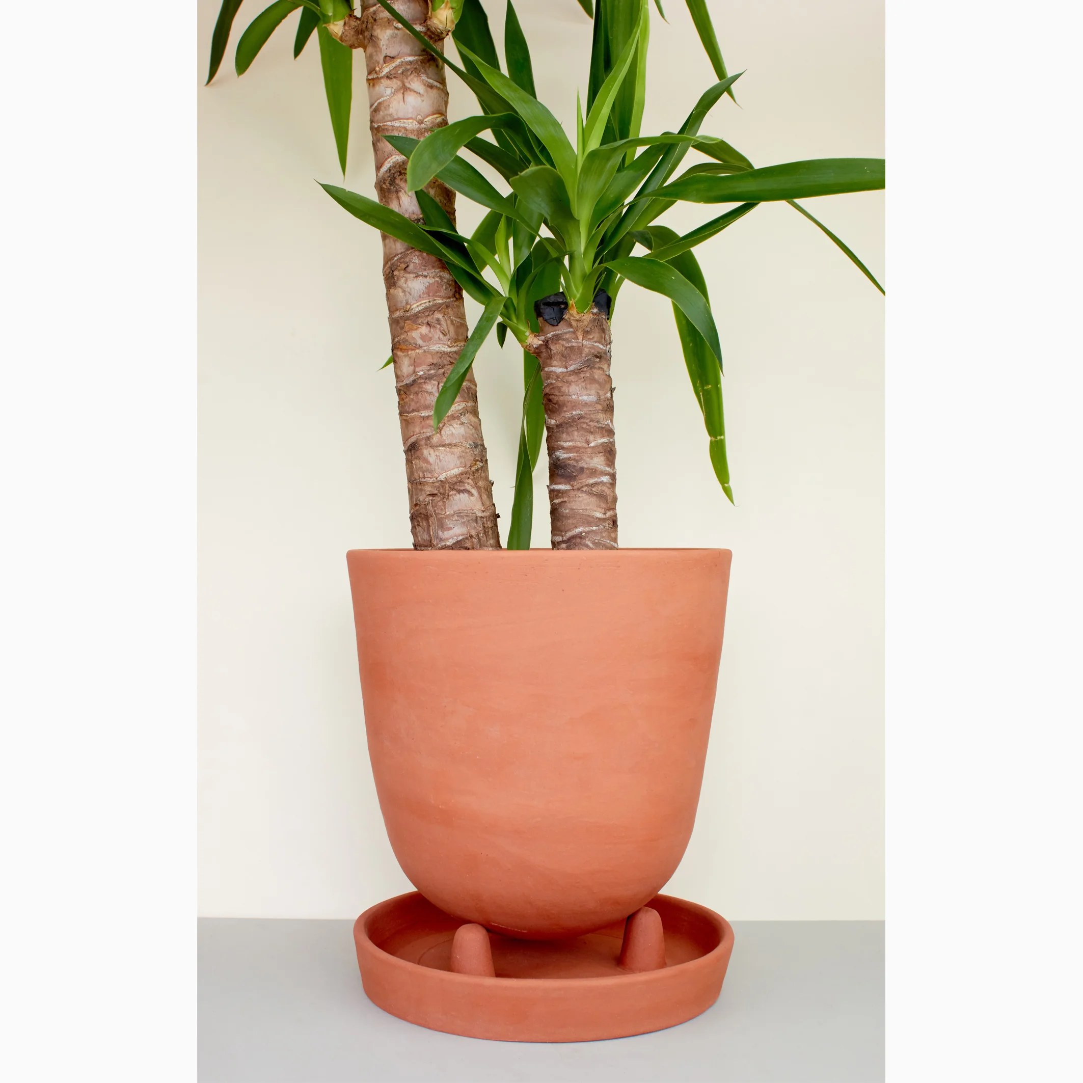 A NEW TRIBE SERAX TERRACOTTA PLANTER LARGE 03.jpg