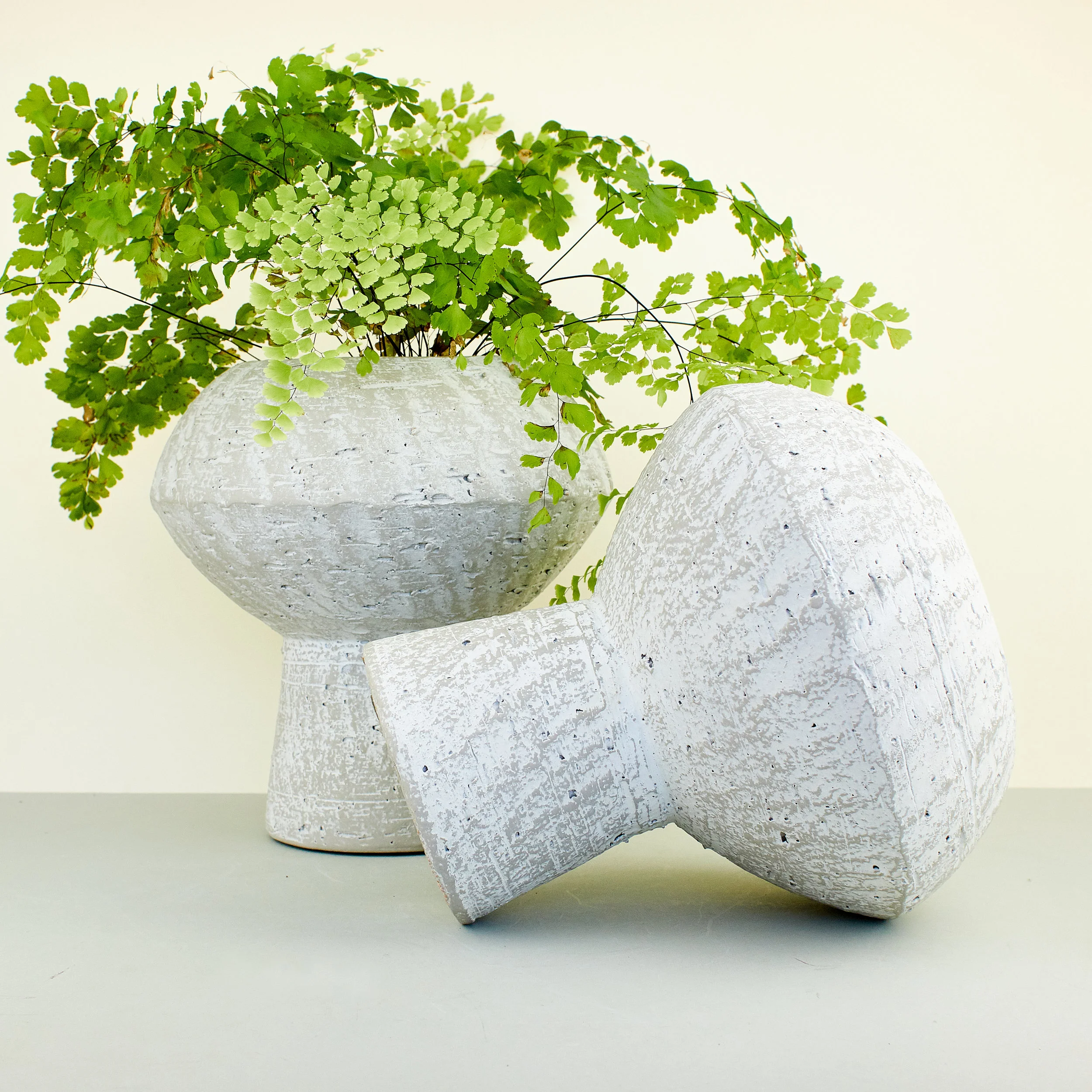 A NEW TRIBE D&M STAND PLANTER 05.jpg