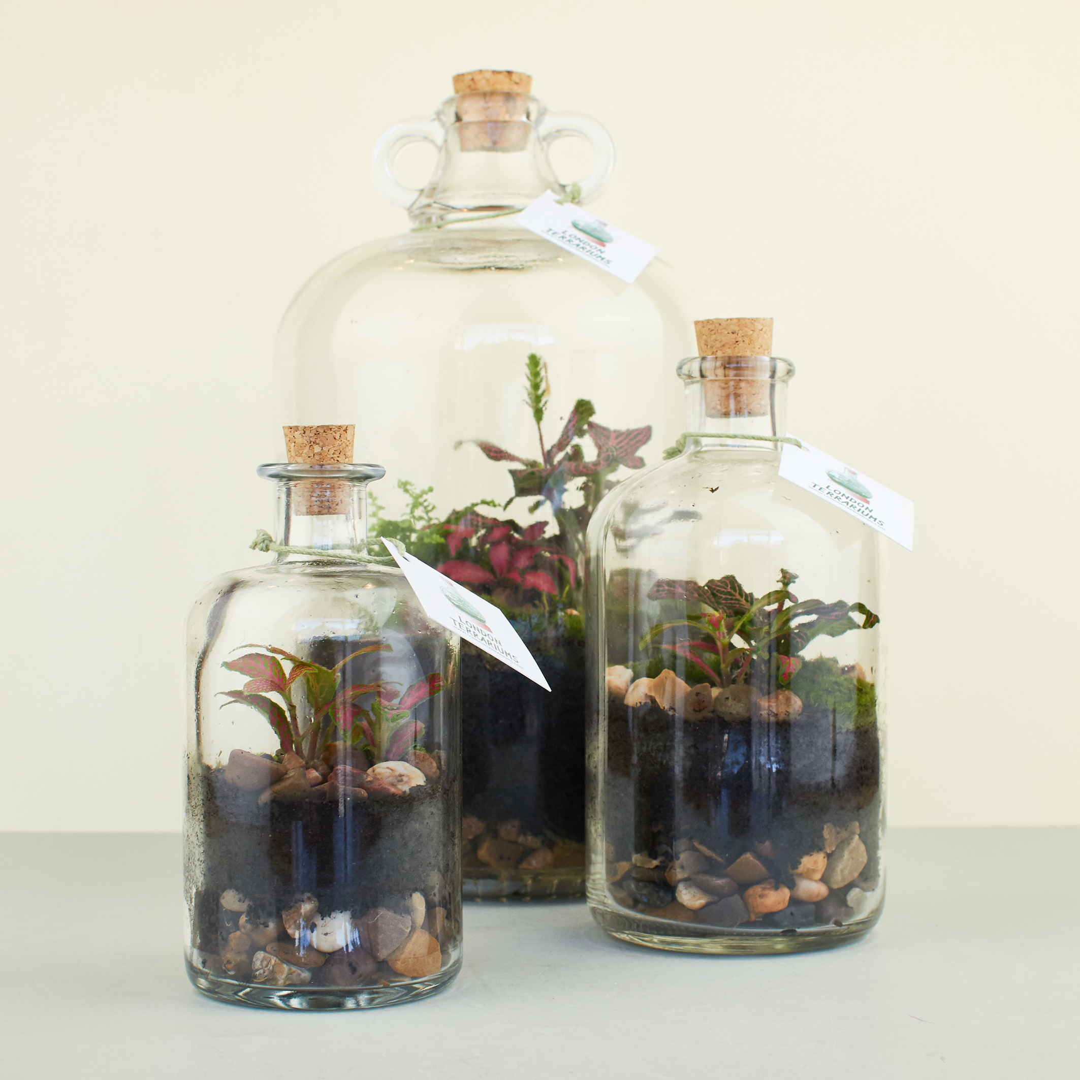 A NEW TRIBE LONDON TERRARIUMS GROUP 03.jpg