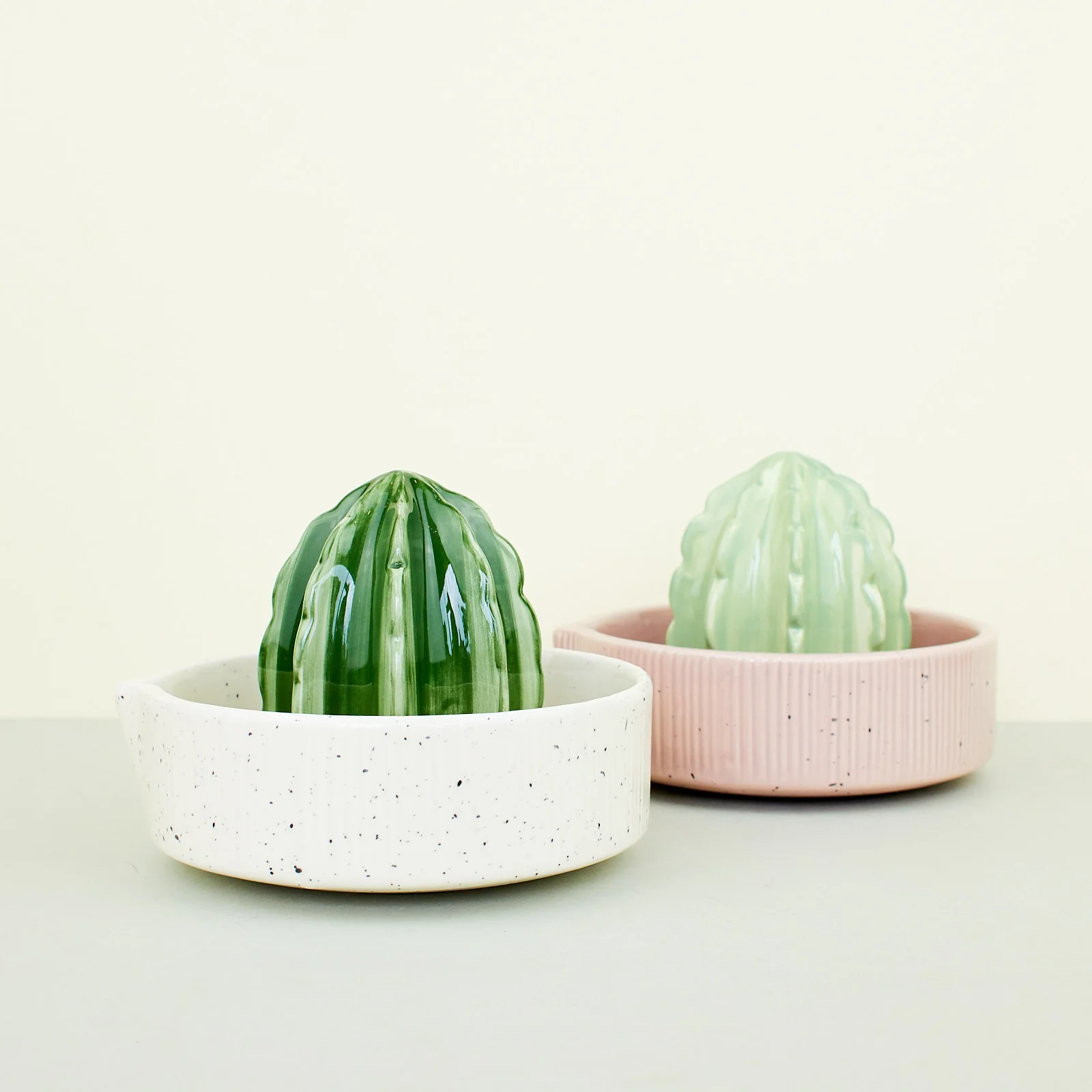 A NEW TRIBE DOIY CACTUS JUICER GROUP.jpg