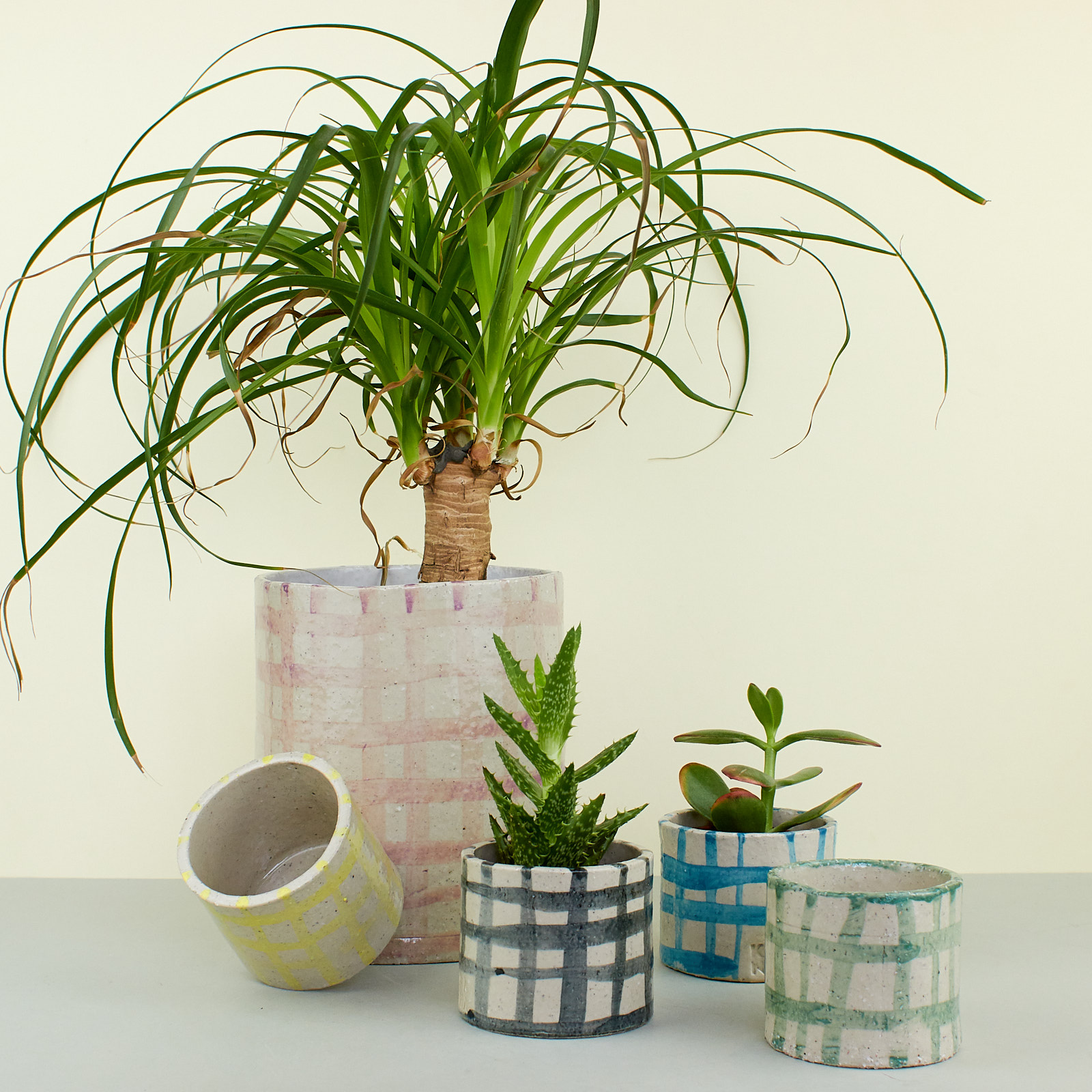 A NEW TRIBE KANA PICNIC PLANTERS GROUP 01.jpg