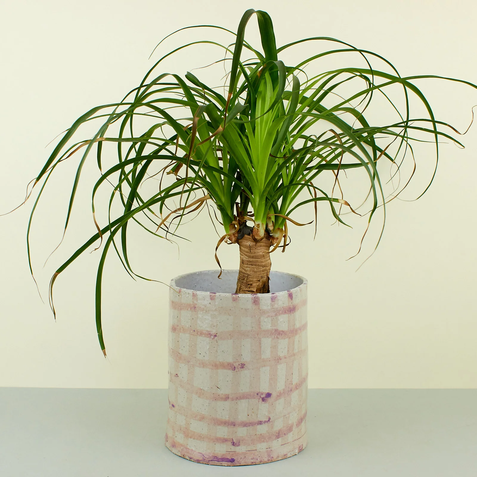 A NEW TRIBE KANA PICNIC PLANTER LARGE PINK 01.jpg
