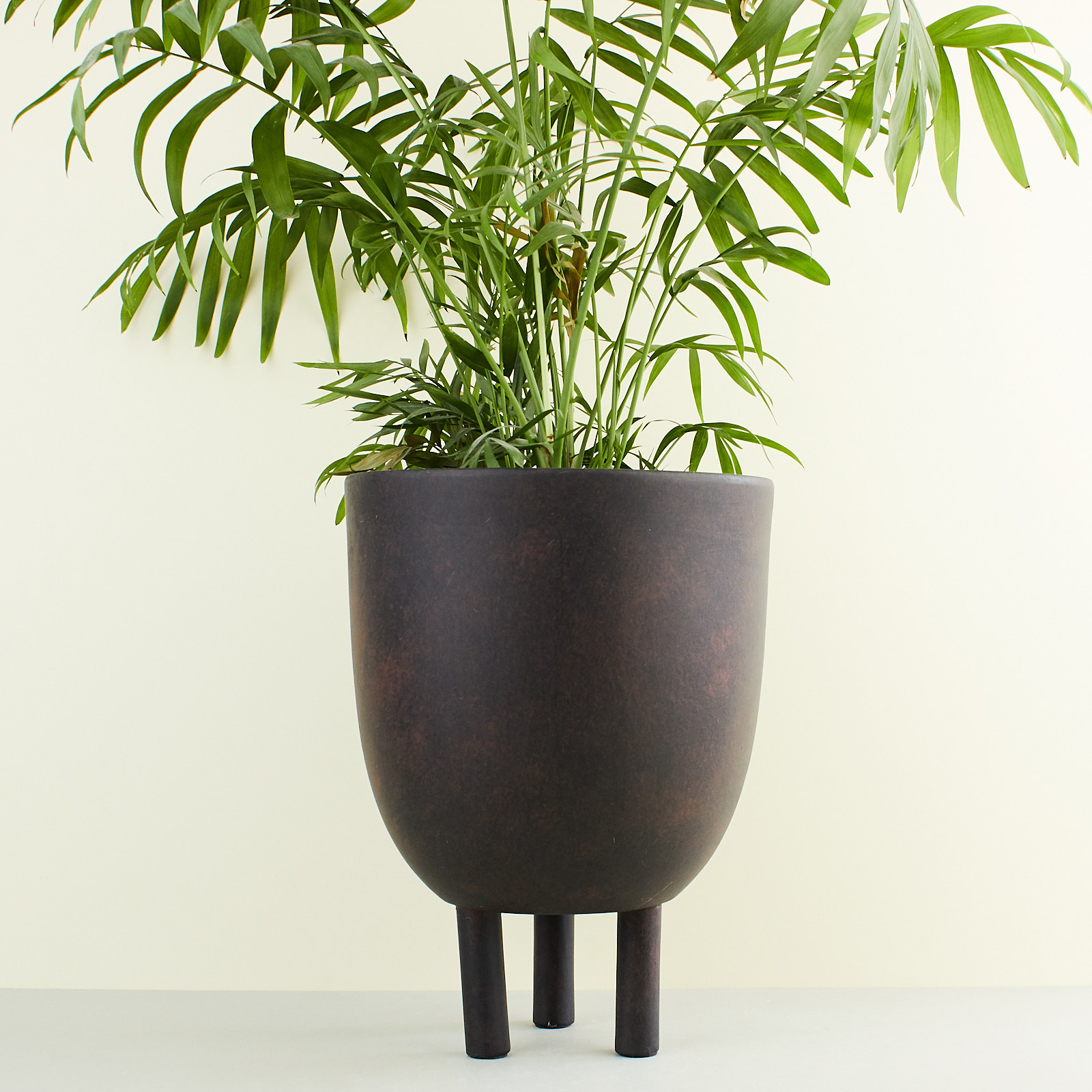 A NEW TRIBE 101 LEG PLANTER 01.jpg