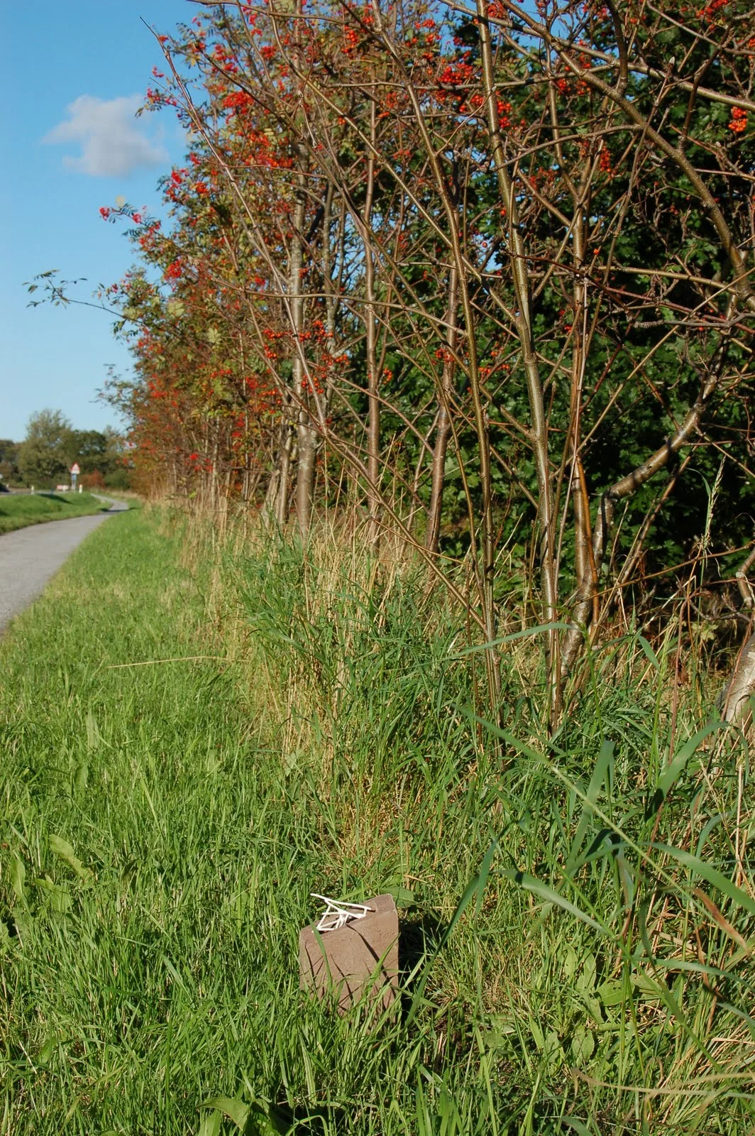  bornholm project  documentation  Markers placed by the roadside weathered back to the ground over time. Many of them were moved by local residents to mark a different spot.&nbsp; 