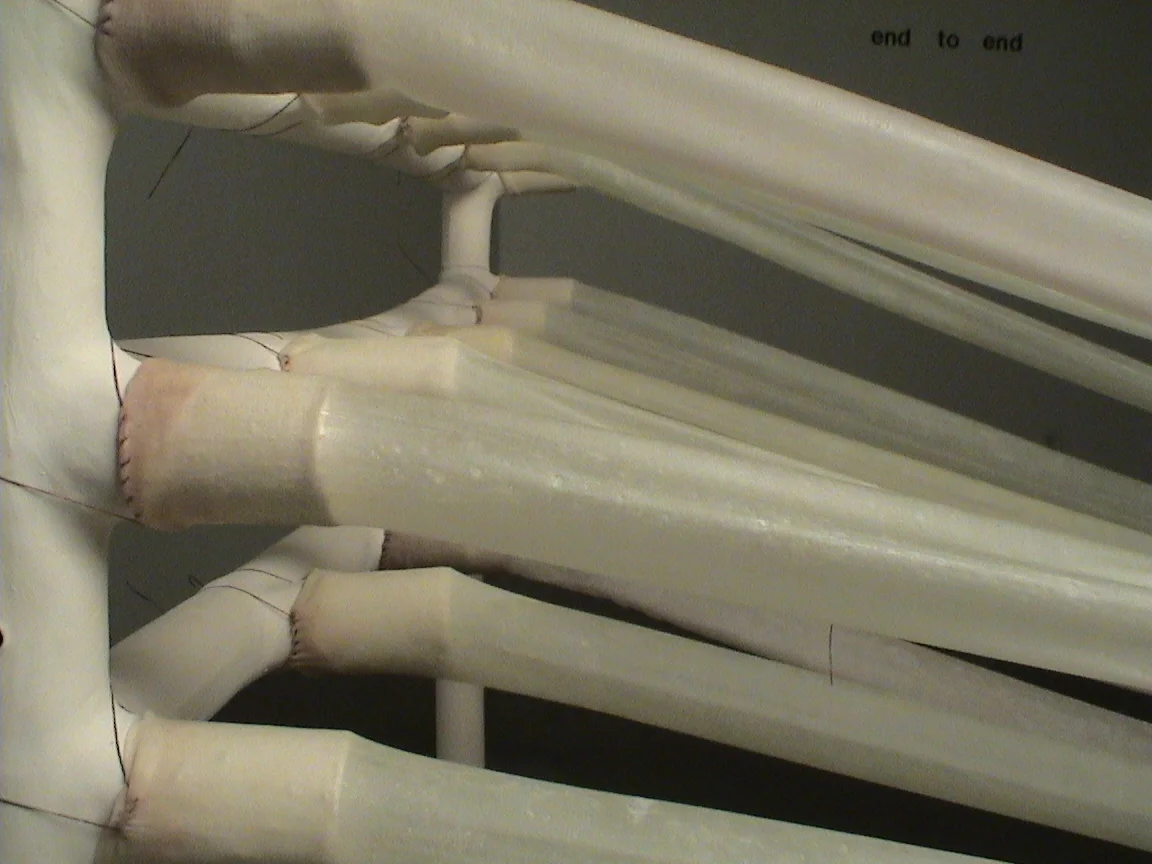  cover to cover, end to end (detail showing porcelain bed and rubber tubing) 