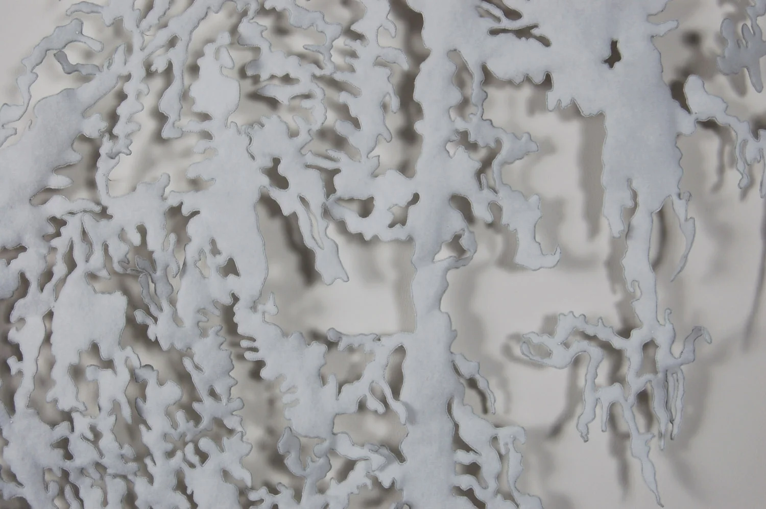 hesitation: certainty of freefall (detail)