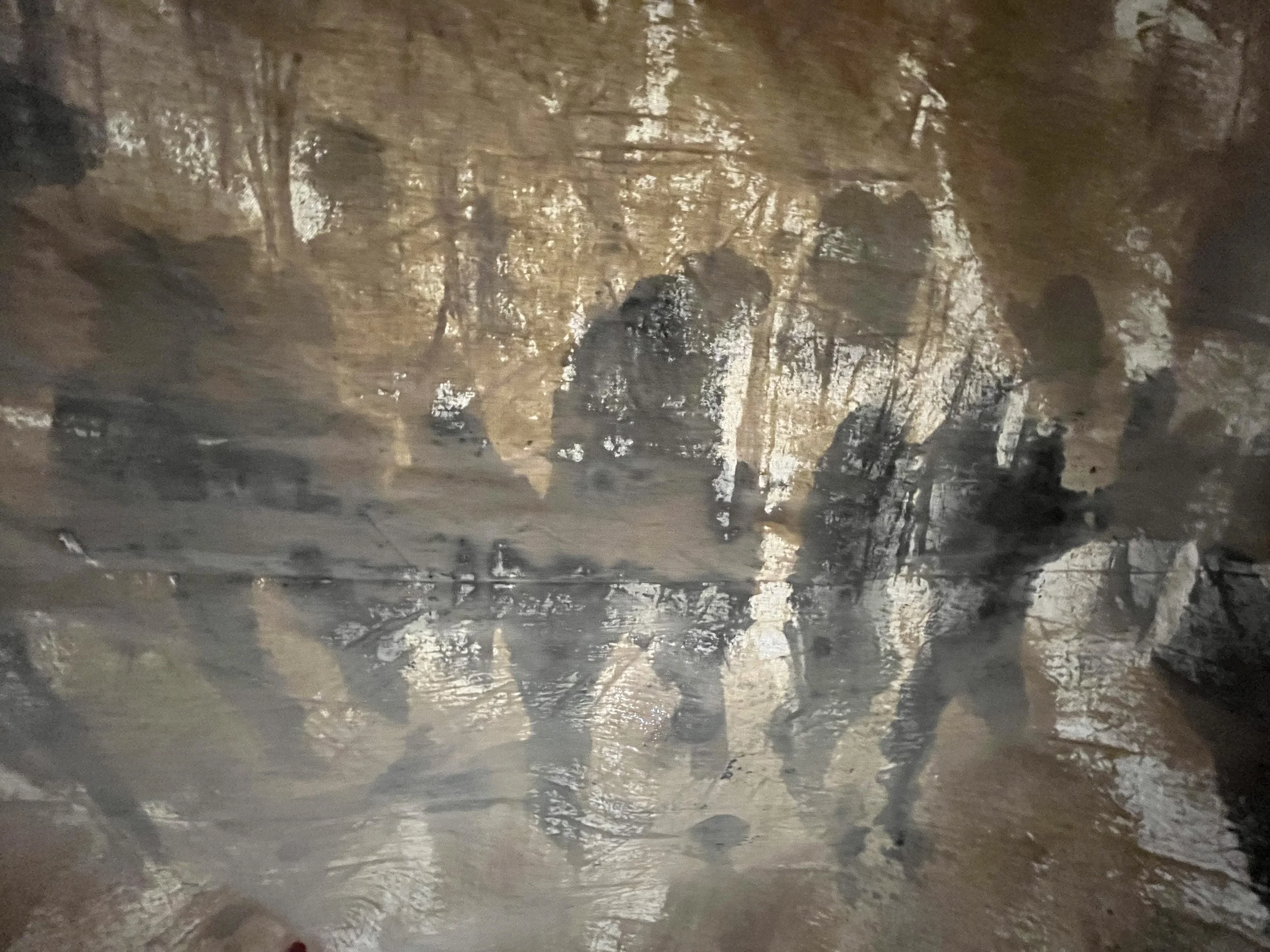    Quietly, Through The Trees    Charcoal on gessoed plywood   91.5cm x 116cm  2025 