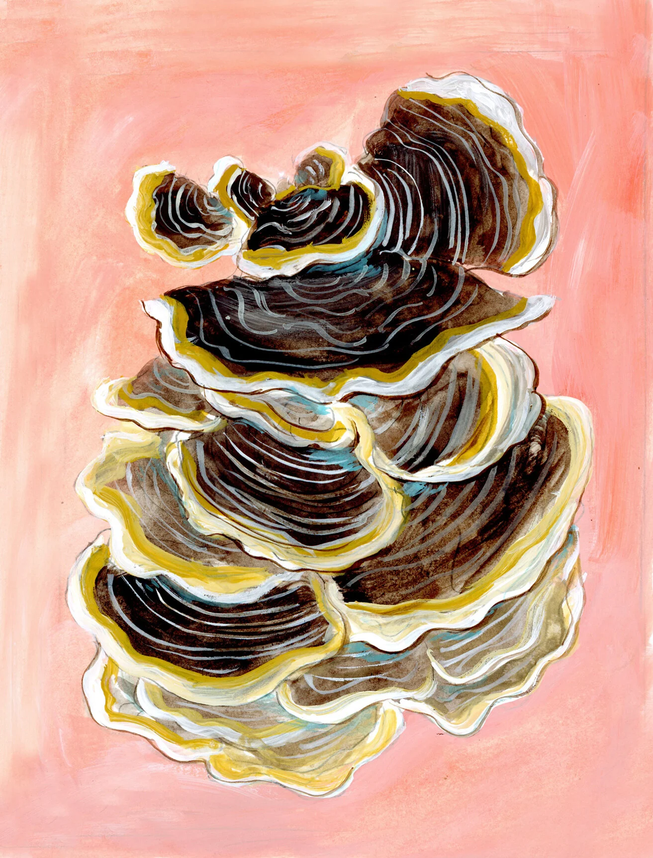 TurkeyTail.jpg