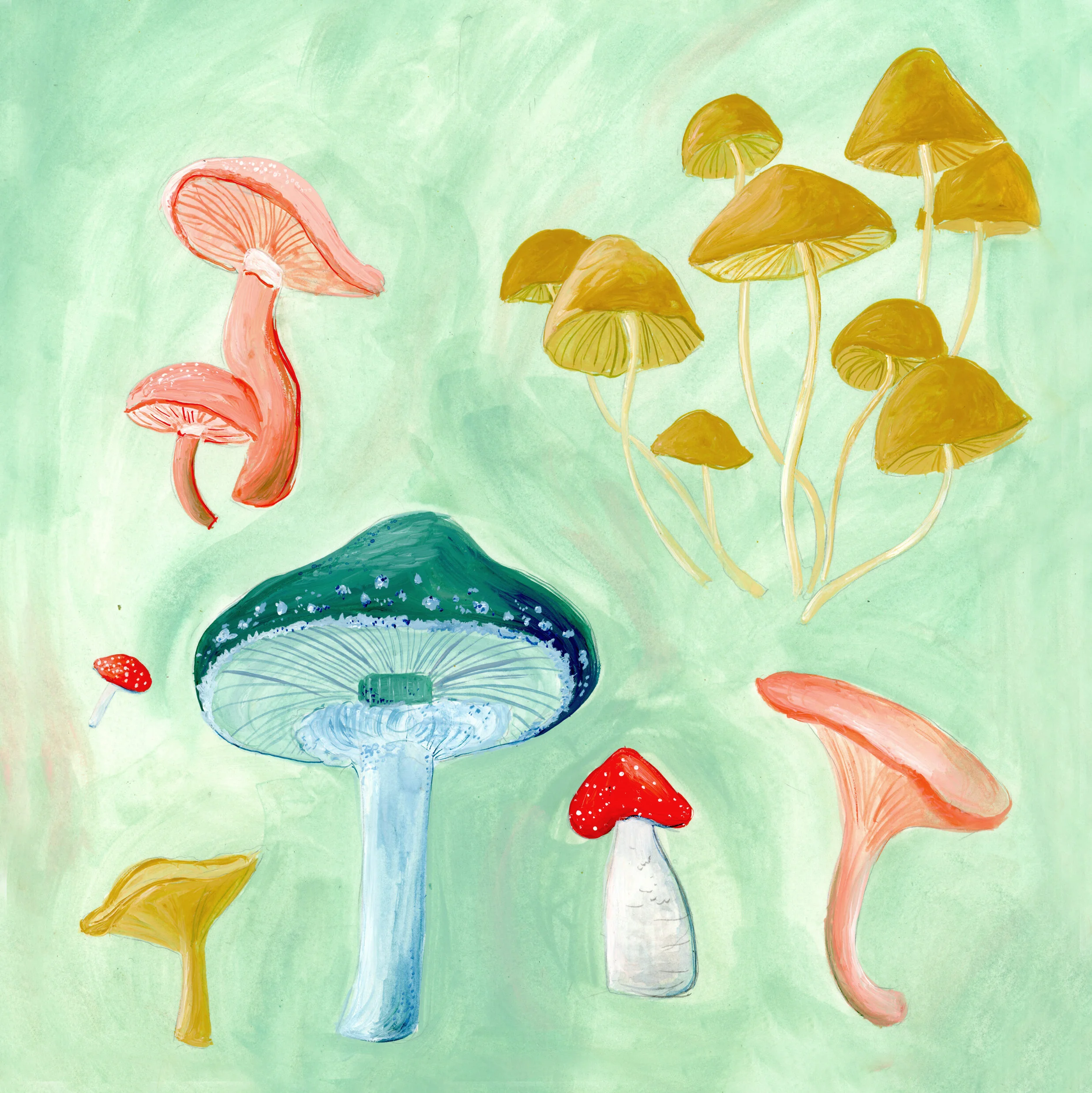 Mushrooms8x8.jpg