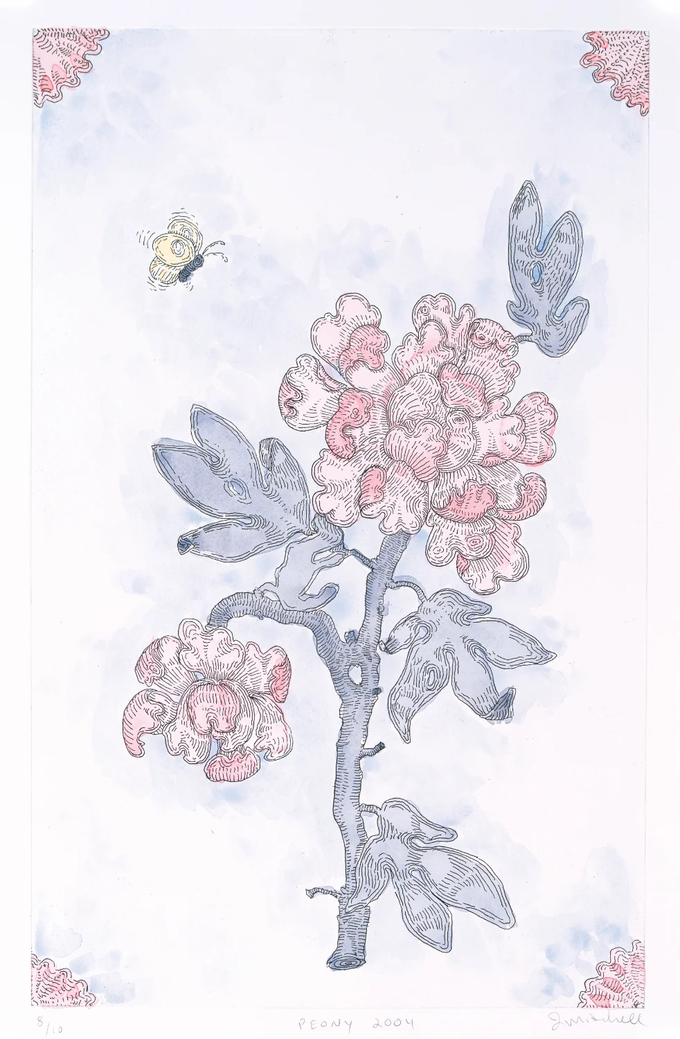 Peony 2004 2004 Soft ground + hand applied watercolor Image: 22" x 14" Sheet: 26" x 18" Edition 10