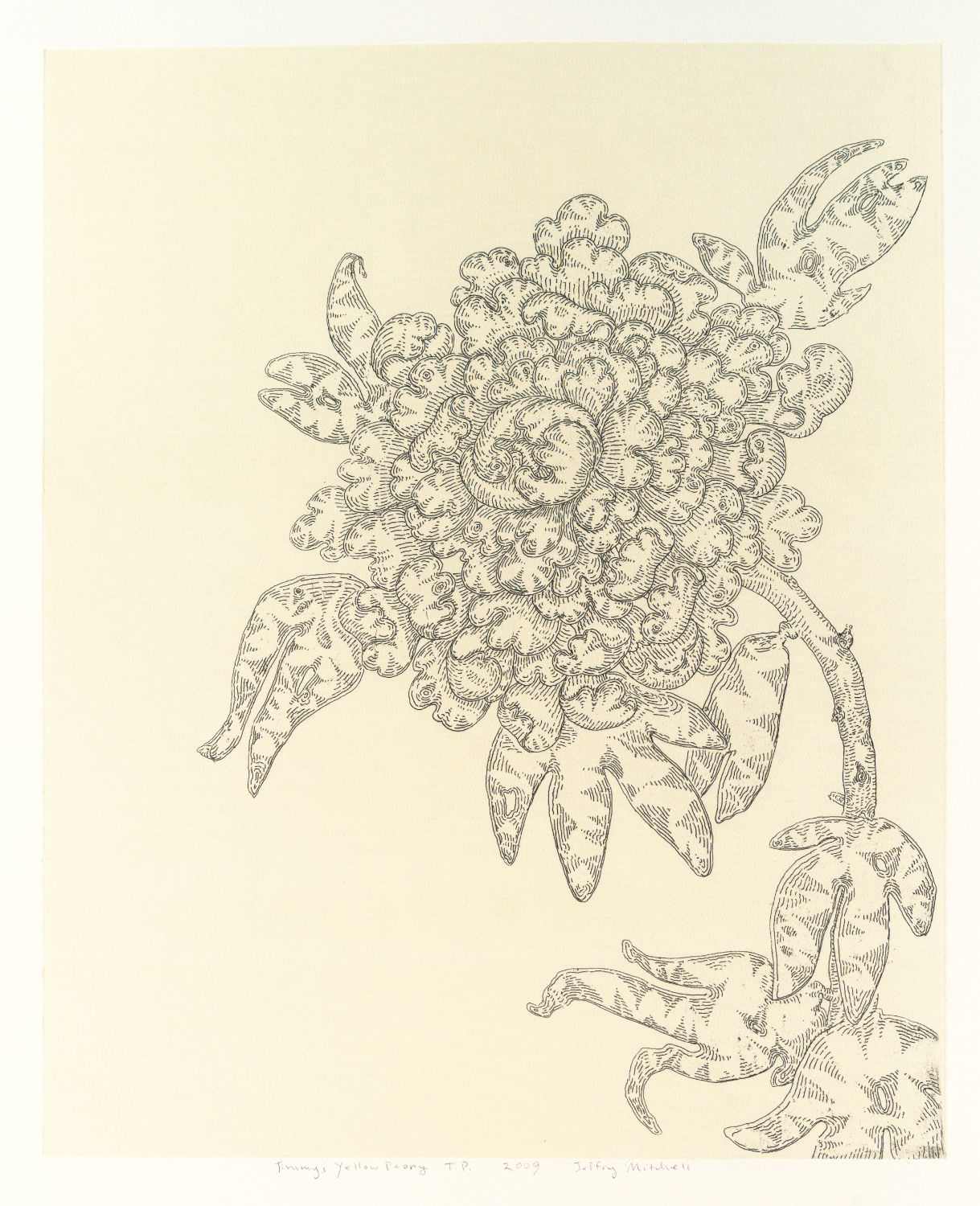 Timmy’s Yellow Peony 2009 Soft ground & silk chine collé Image: 24” x 18” Sheet: 30” x 22” Edition TBD varied