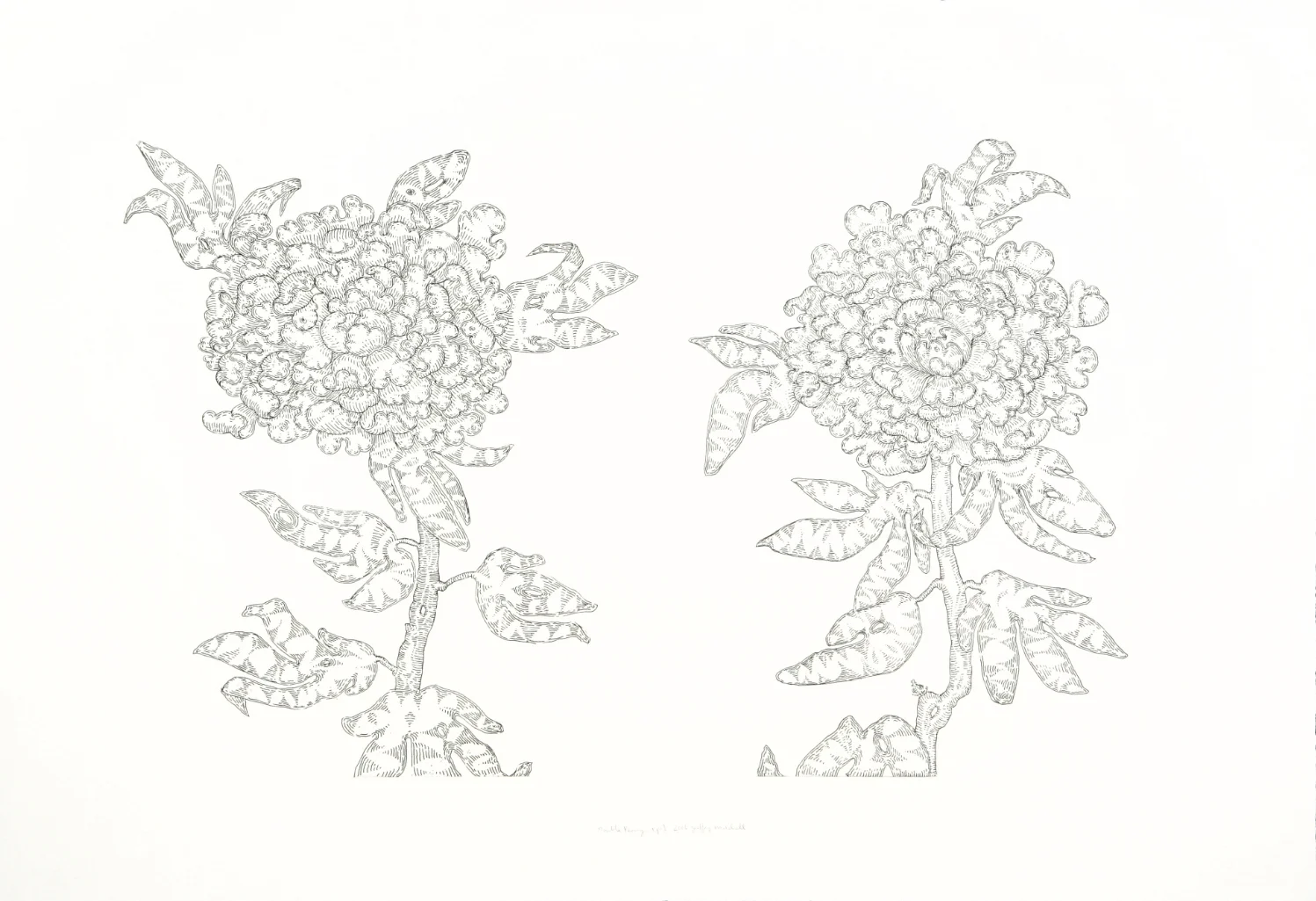 Double Peony I 2007 Soft ground Image: 22" x 36" Sheet: 29” x 43” Edition 7