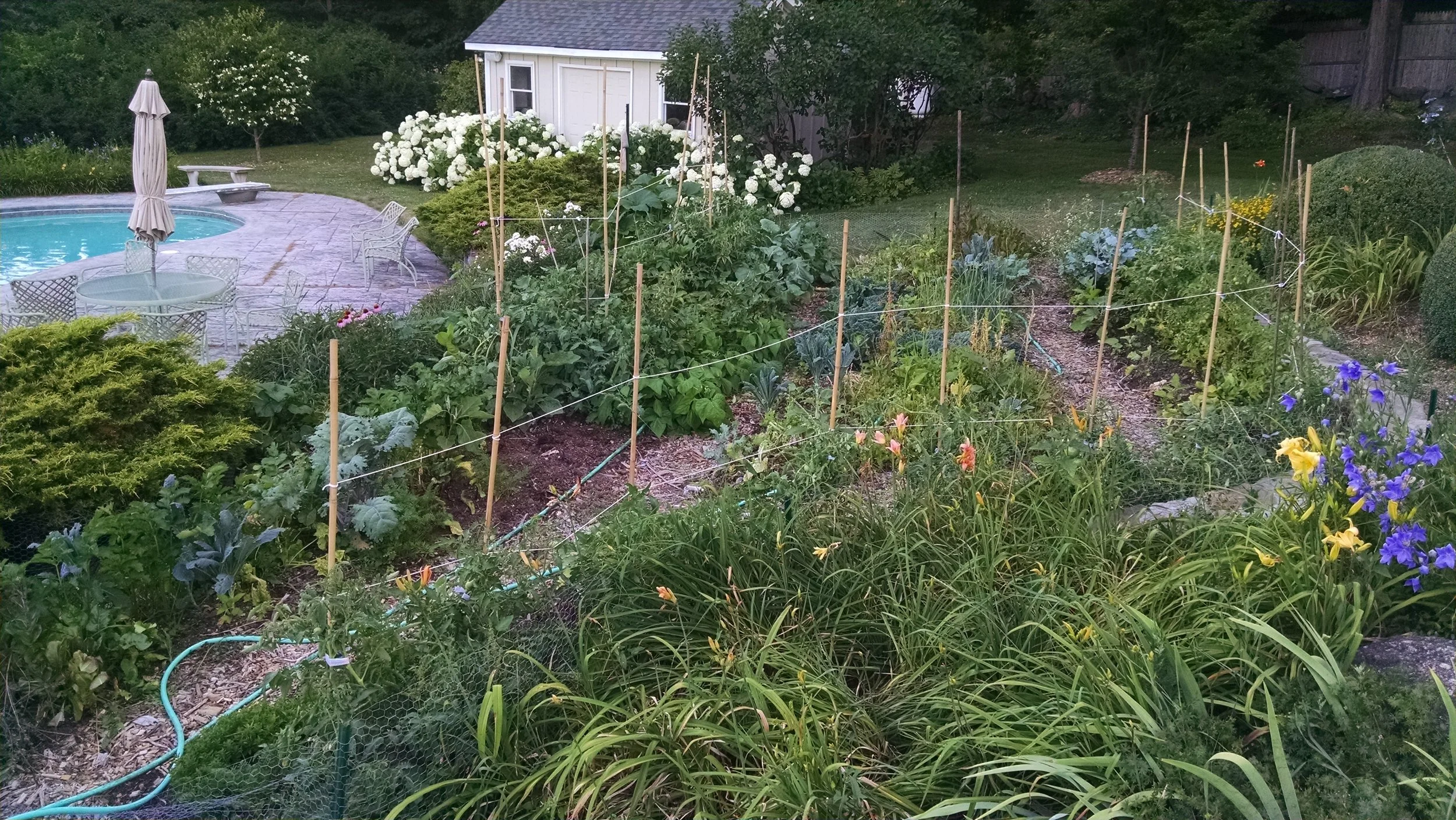 IMG_20160706_194714713 (1).jpg