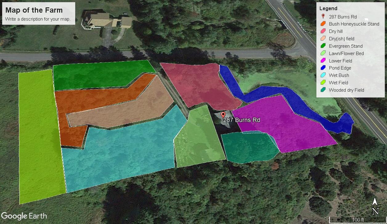  Mapping out site characteristics to determine a planting plan that fits the existing landscape is an essential step in the design process. 