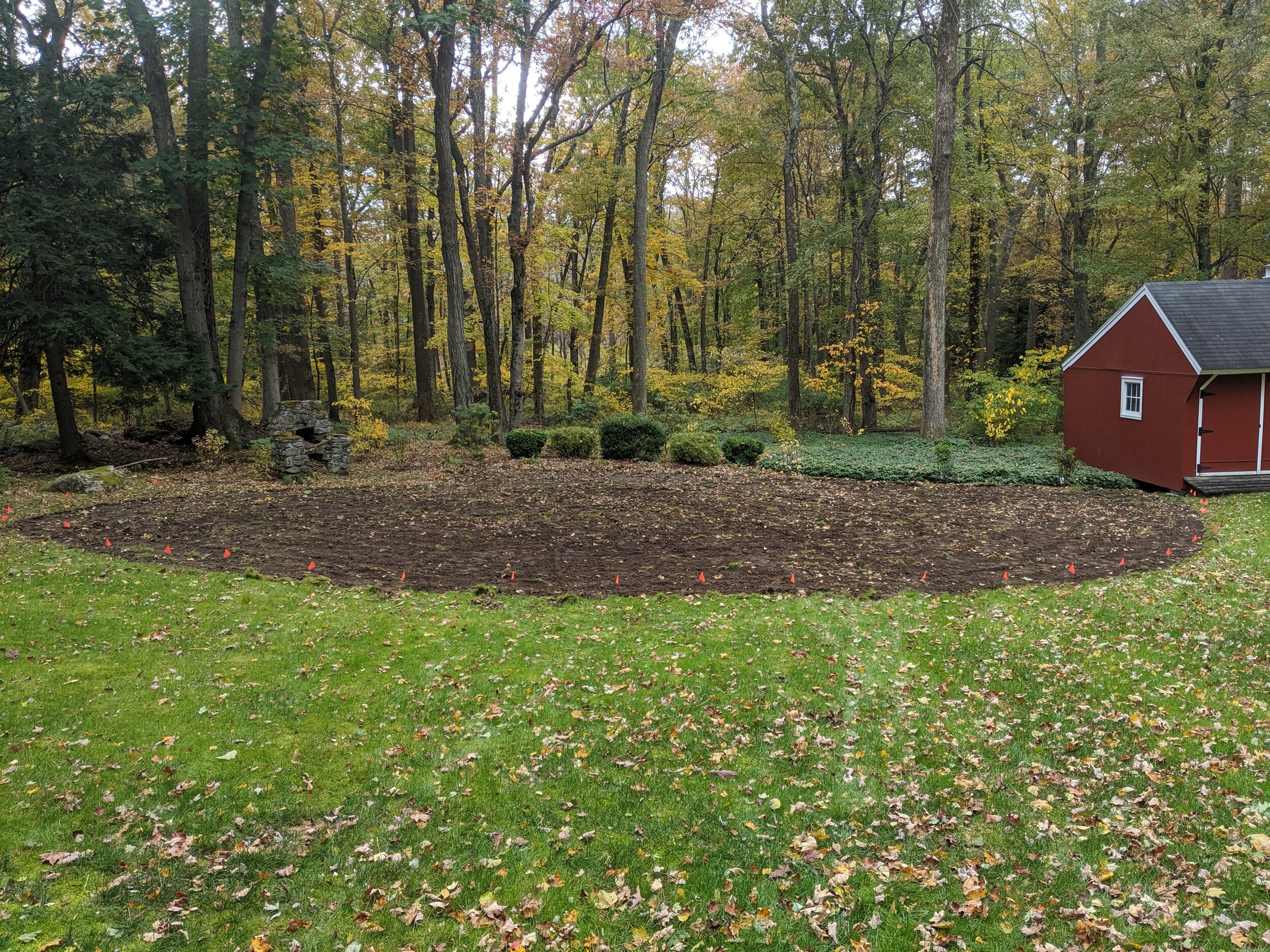  This lawn was shaded and wet. Once the sod was removed, it was planted with seed from plants that will be deer resistant and do well in wet, shady conditions. This added diversity will add color and pollinator diversity throughout the seasons. 