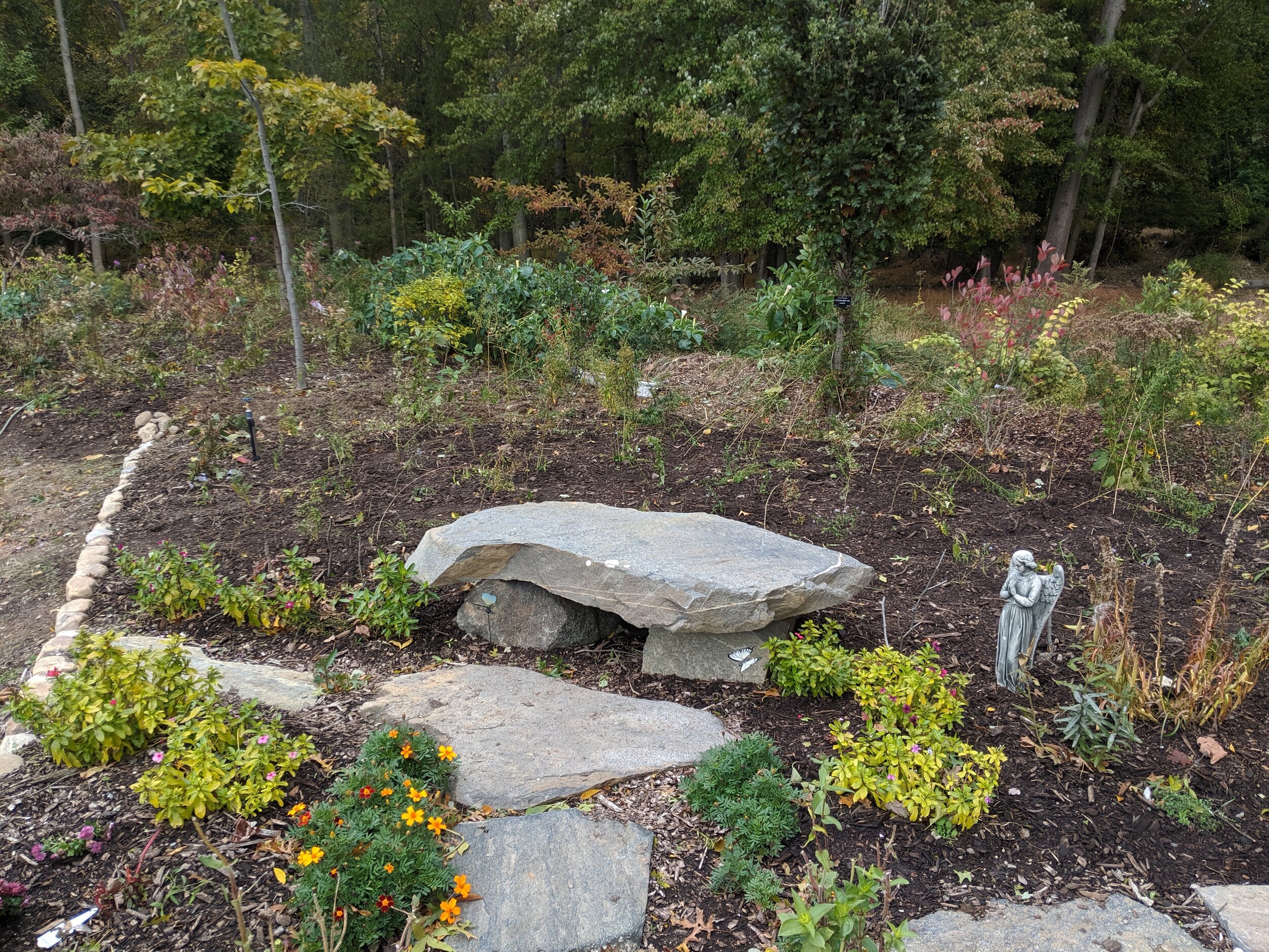  This cemetery had removed a large area of invasive species. A combination of native plants of various heights, bloom times, and flower shapes will provide grace and serenity for those visiting their loved ones, and excellent habitat for the native s