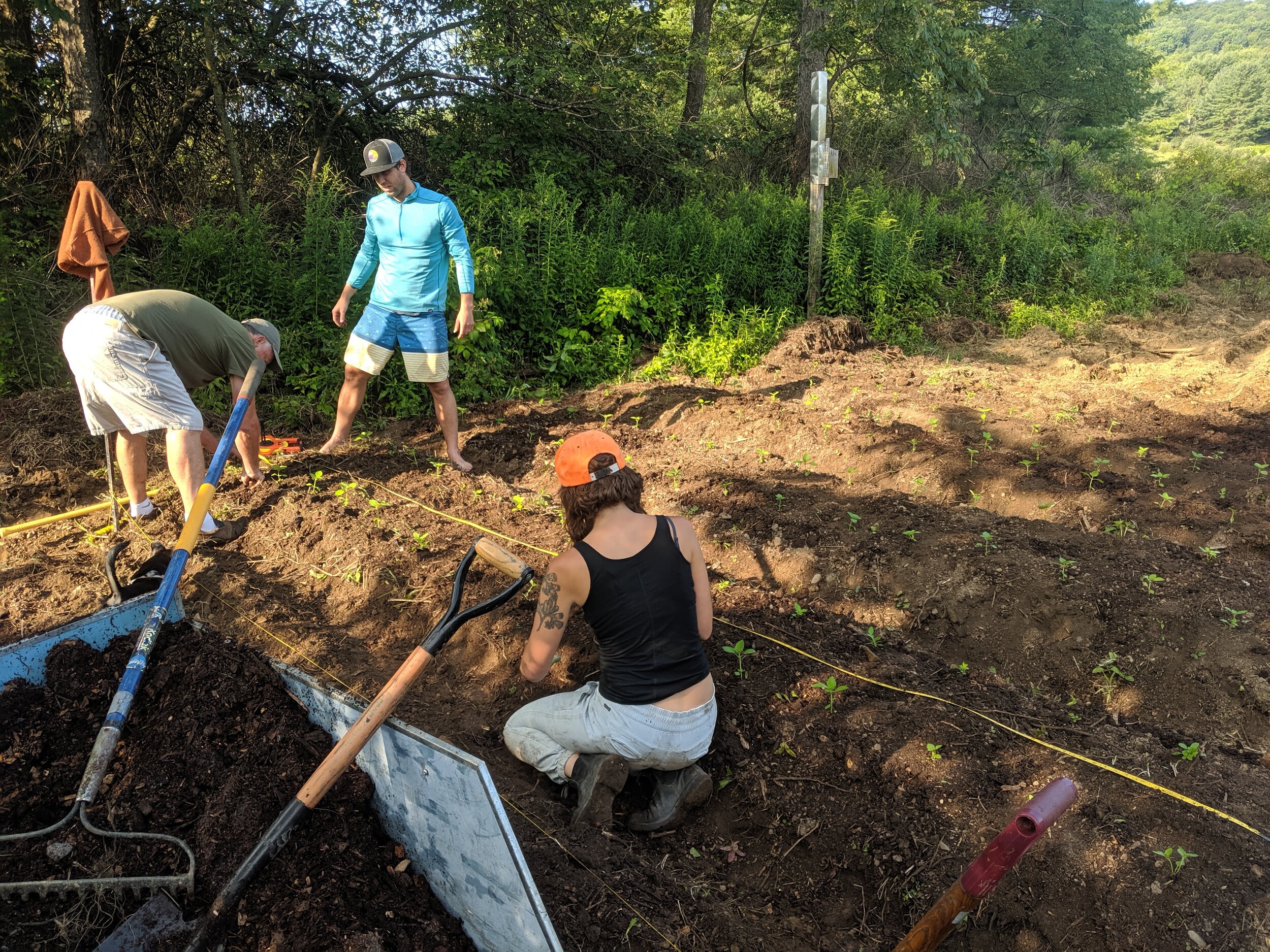  Installation is best done as a team. Here, family and friends install a Tulsi bed at Suntrap Farm. 