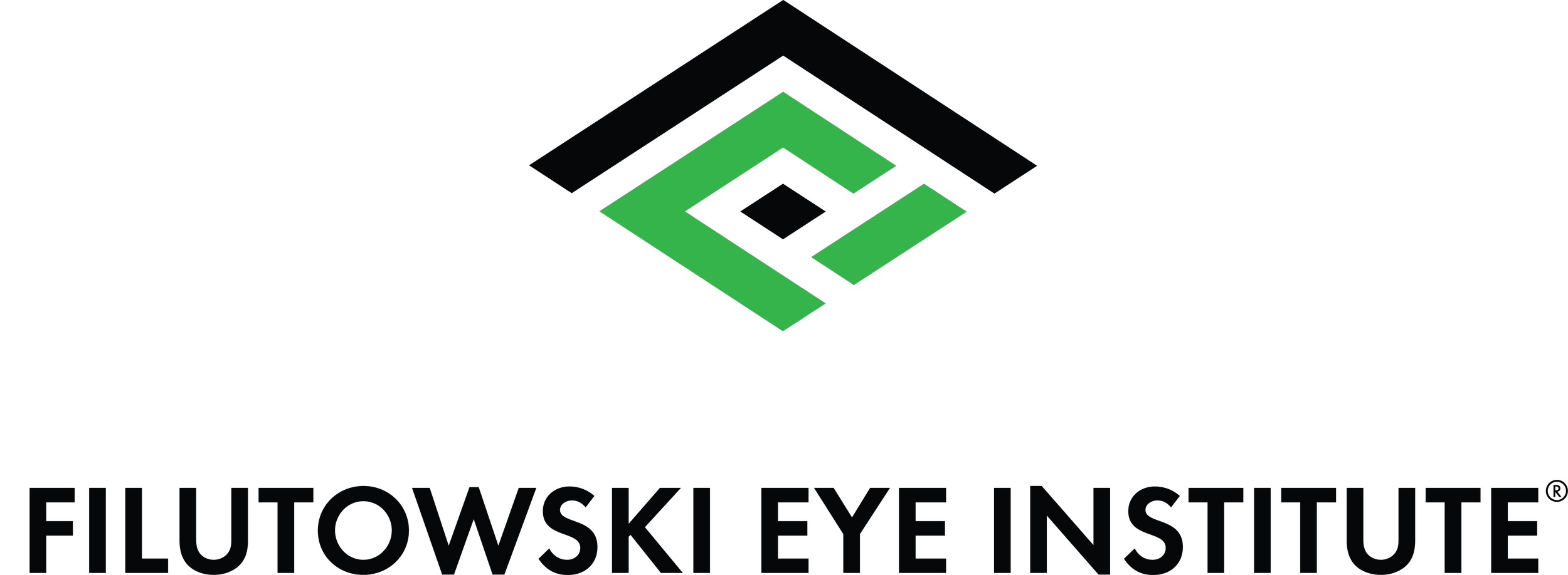 FEI_Logo_R_CMYK_BlackGreen_Single_Vertical.png