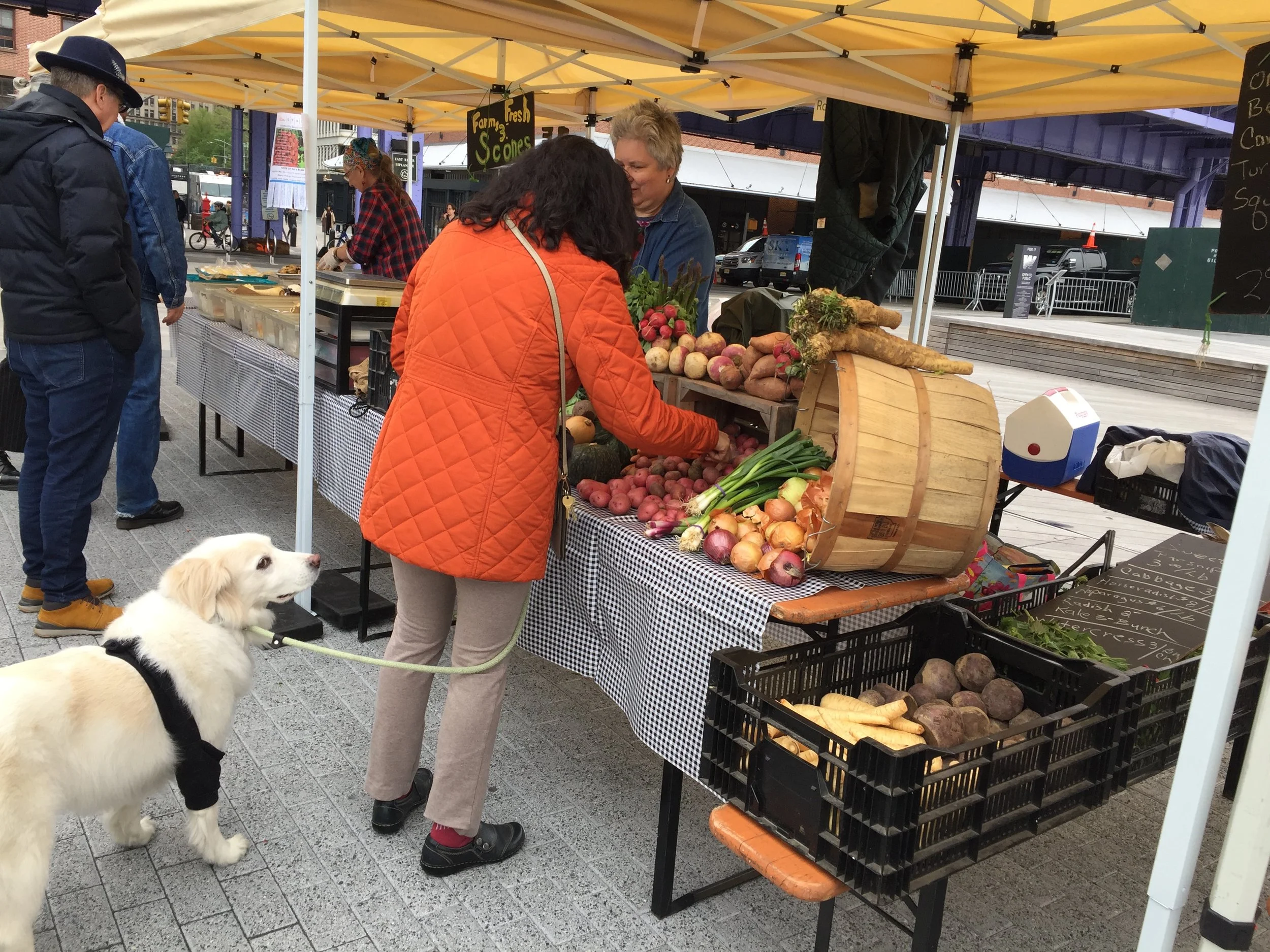 Sunday Farmers Market + Indie Rock Band, The Lo-Fi's, on Pier 17!