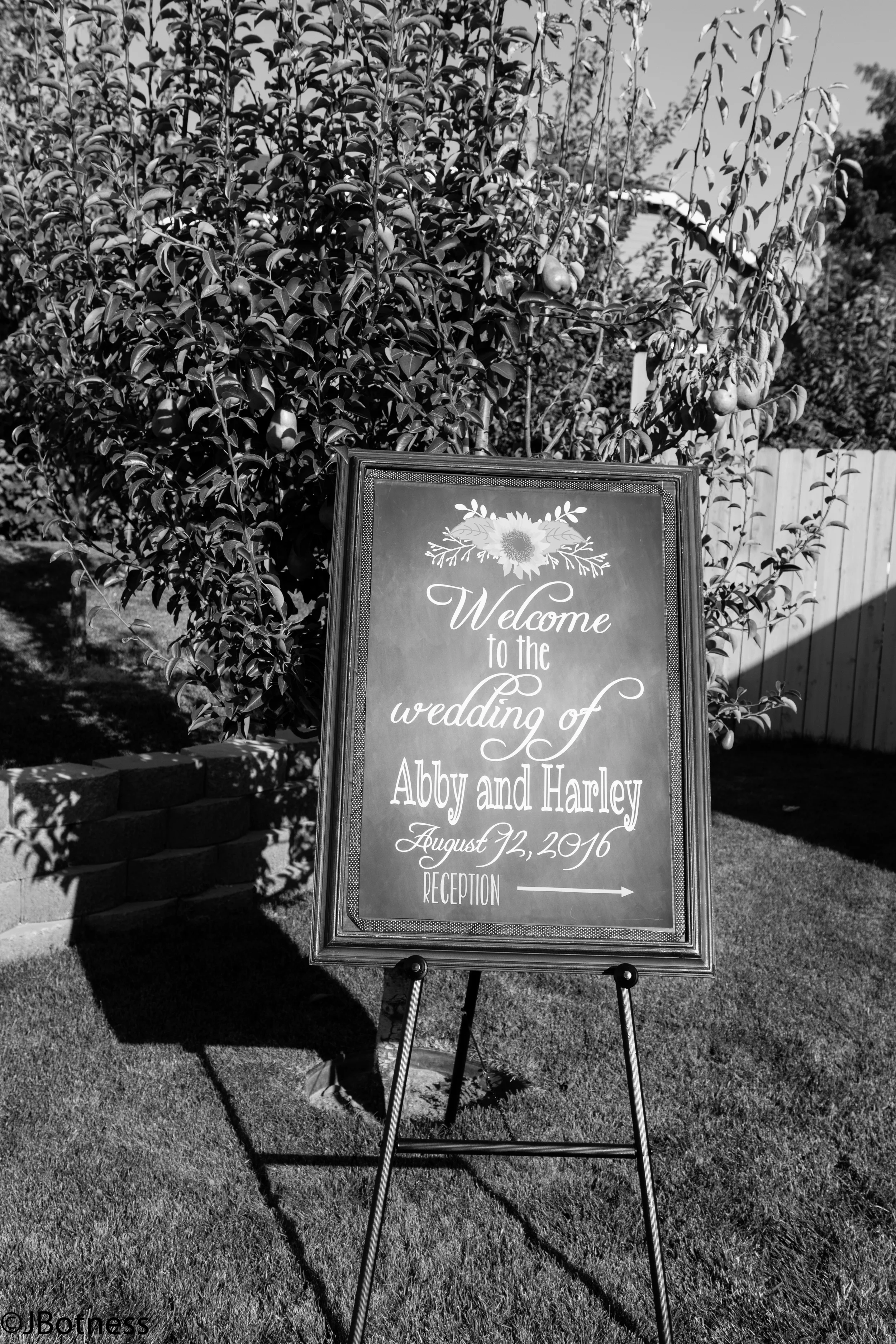Abby_Harley_Wedding2016-7643.JPG